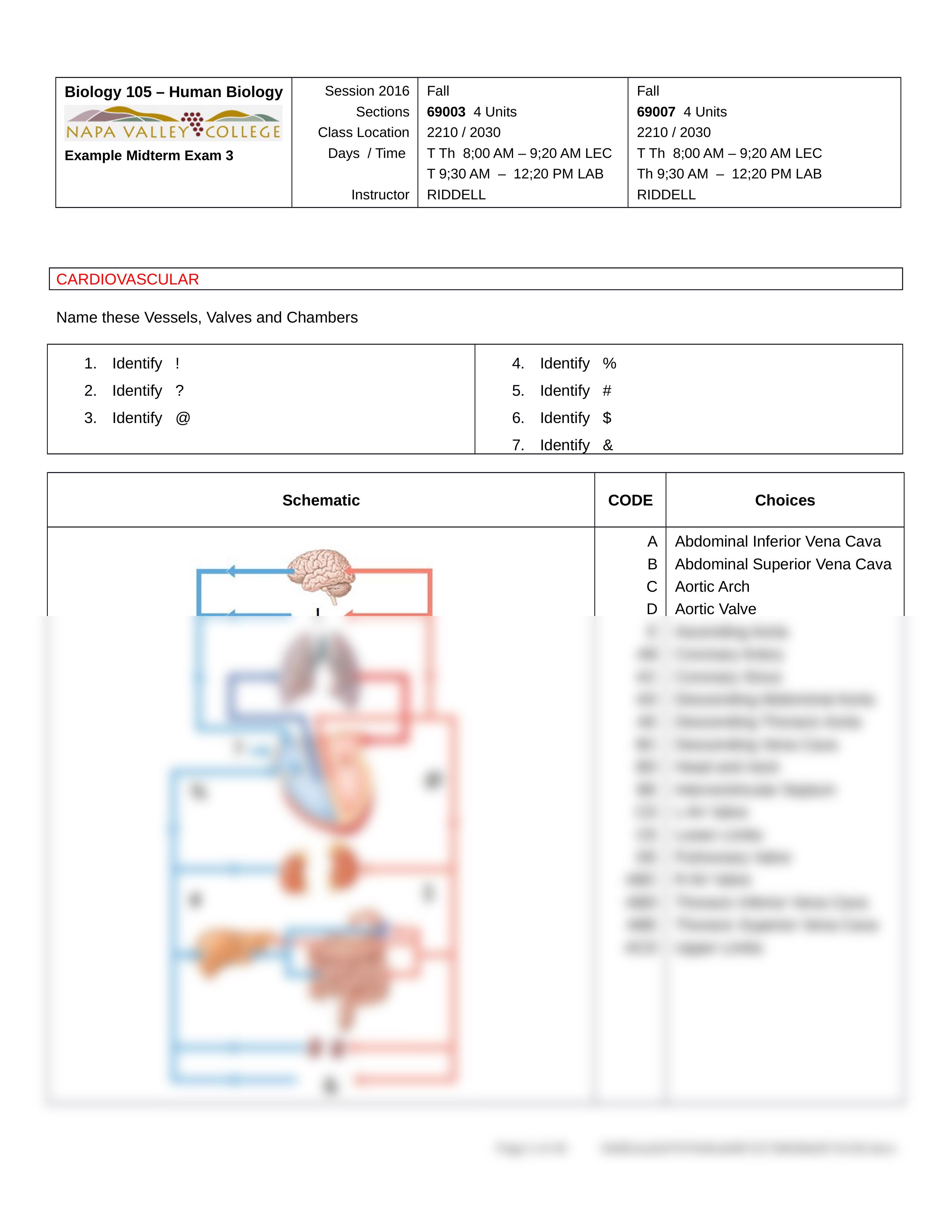 BIO 105 F 2016 69003 69007 Practice MTX 3 QA 161103.1.docx_dqter288oex_page2