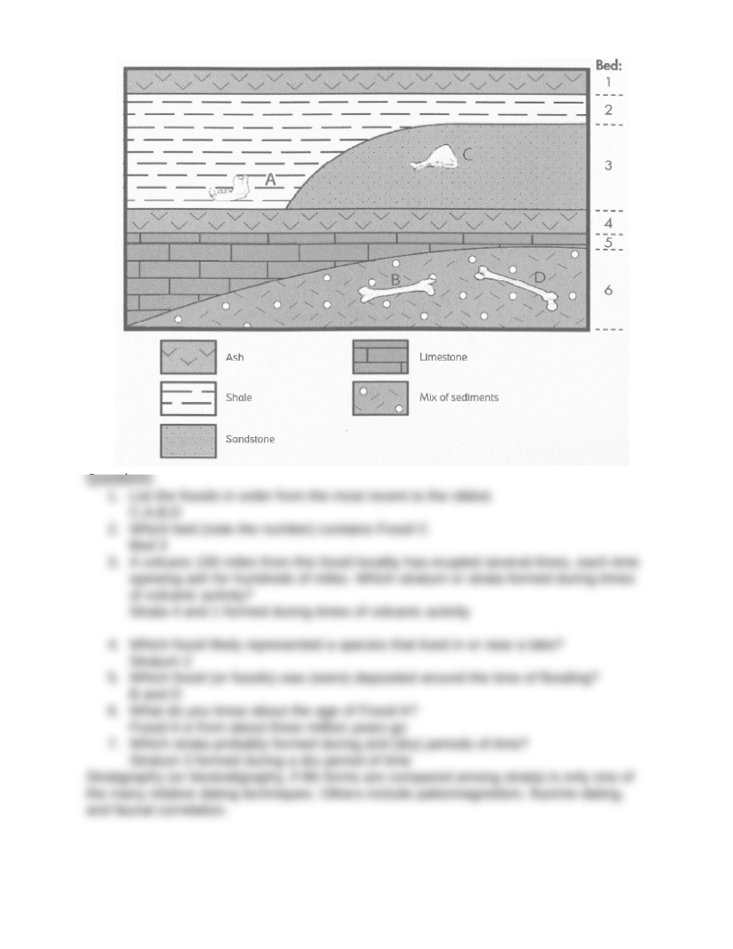 How Old Was This Fossil_ (1).docx_dqubf567bc9_page2