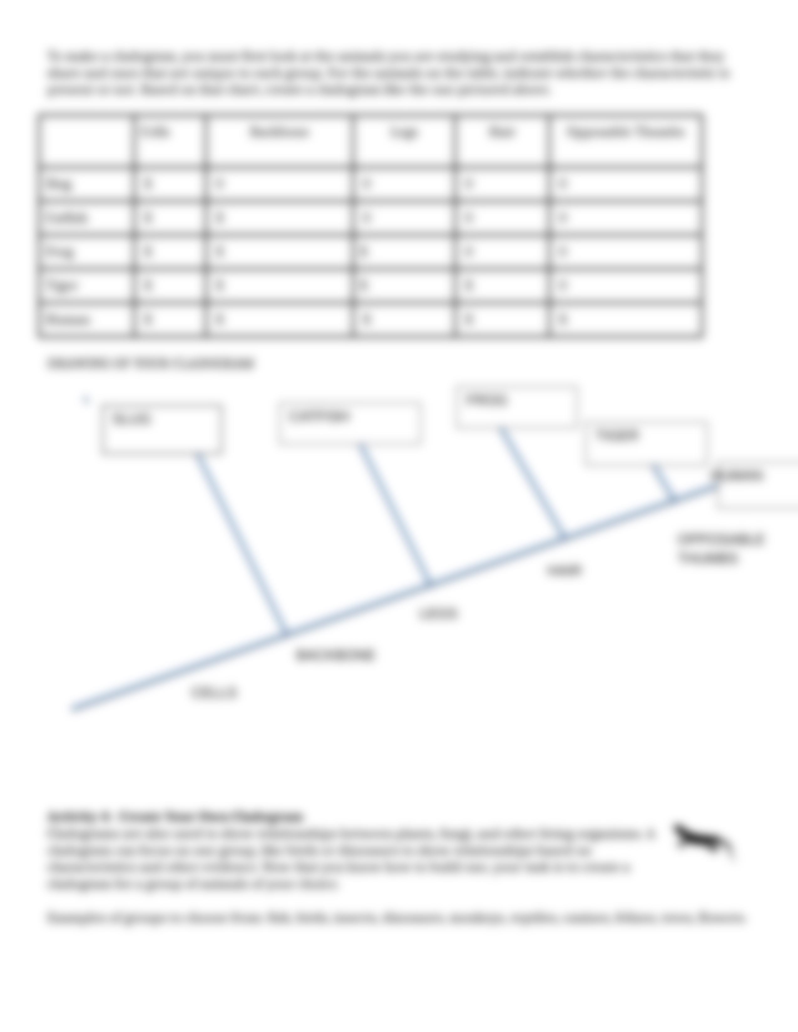 What is a Cladogram ANIKA.docx_dqysfrwyhdl_page4