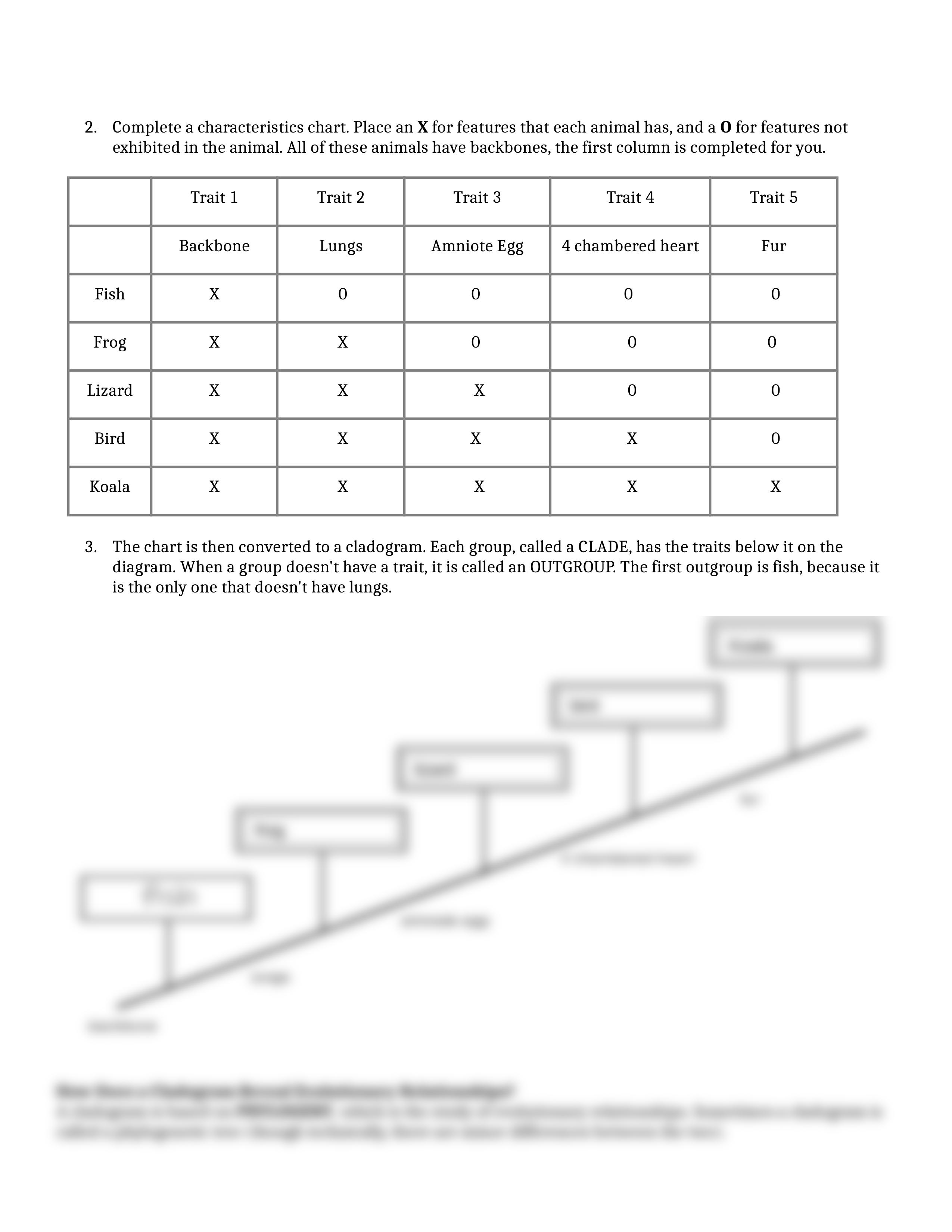 What is a Cladogram ANIKA.docx_dqysfrwyhdl_page2