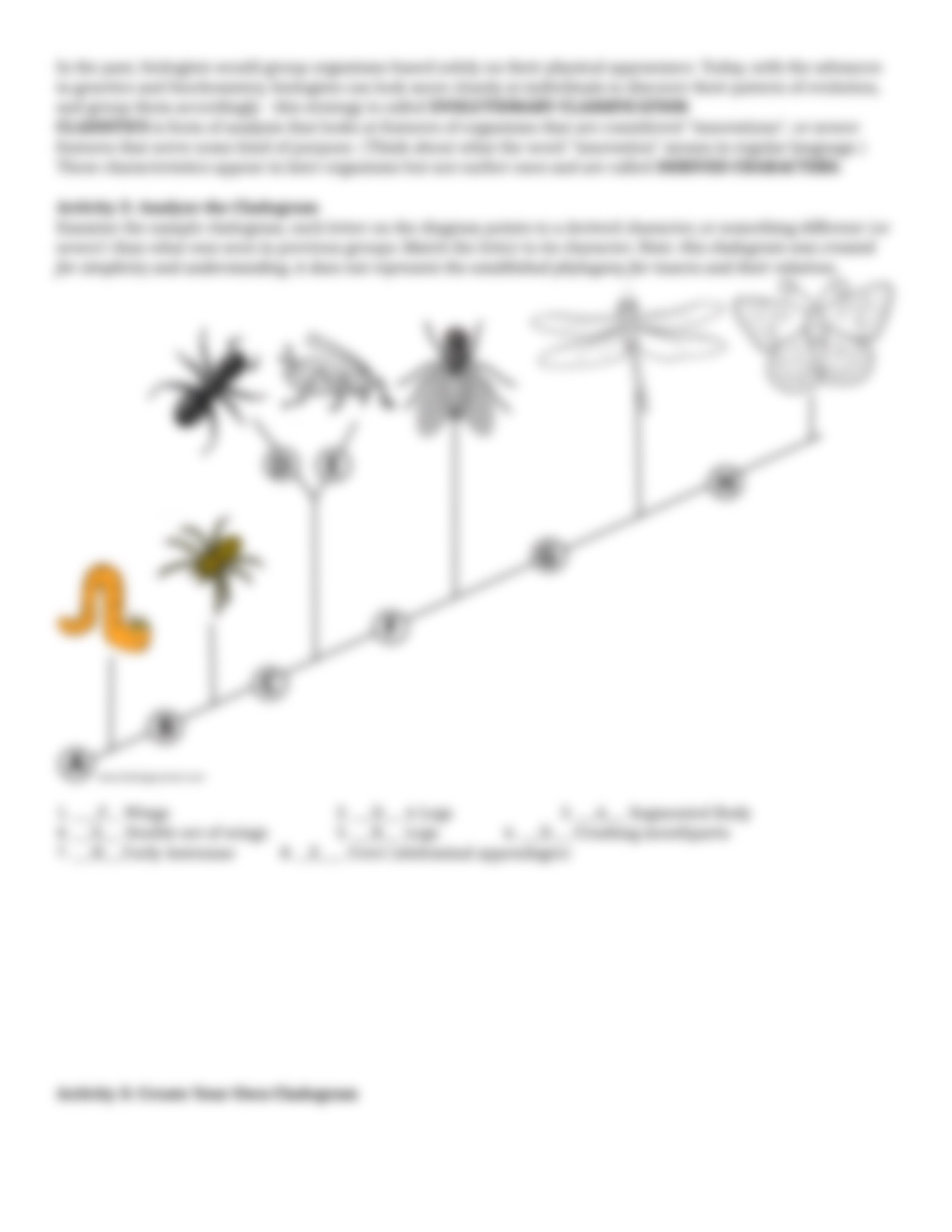 What is a Cladogram ANIKA.docx_dqysfrwyhdl_page3