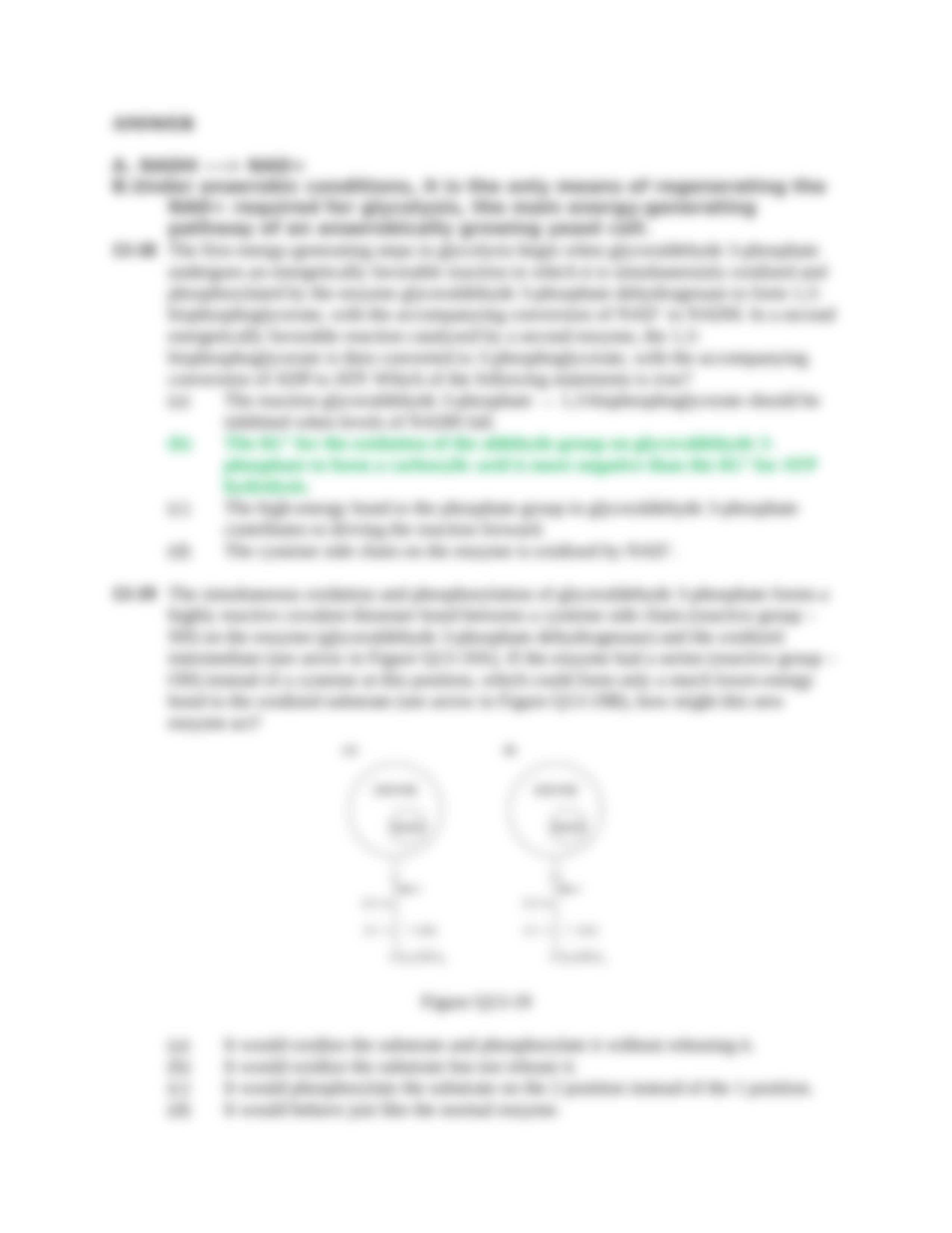 CHAPTER 13(SOLVED)_dqzcgolhtp3_page5