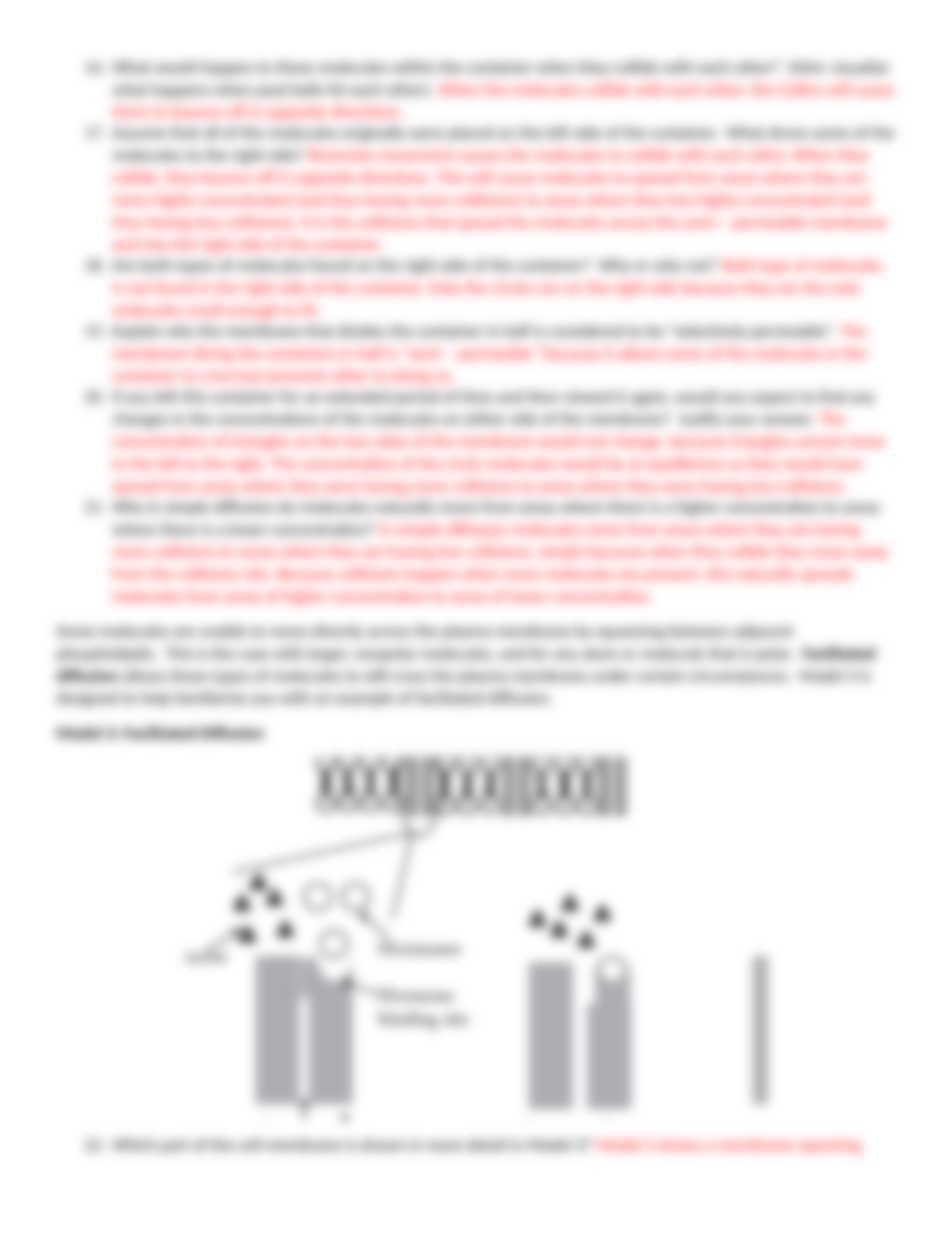 Membrane Transport POGIL.docx_dr036k3ls8q_page3