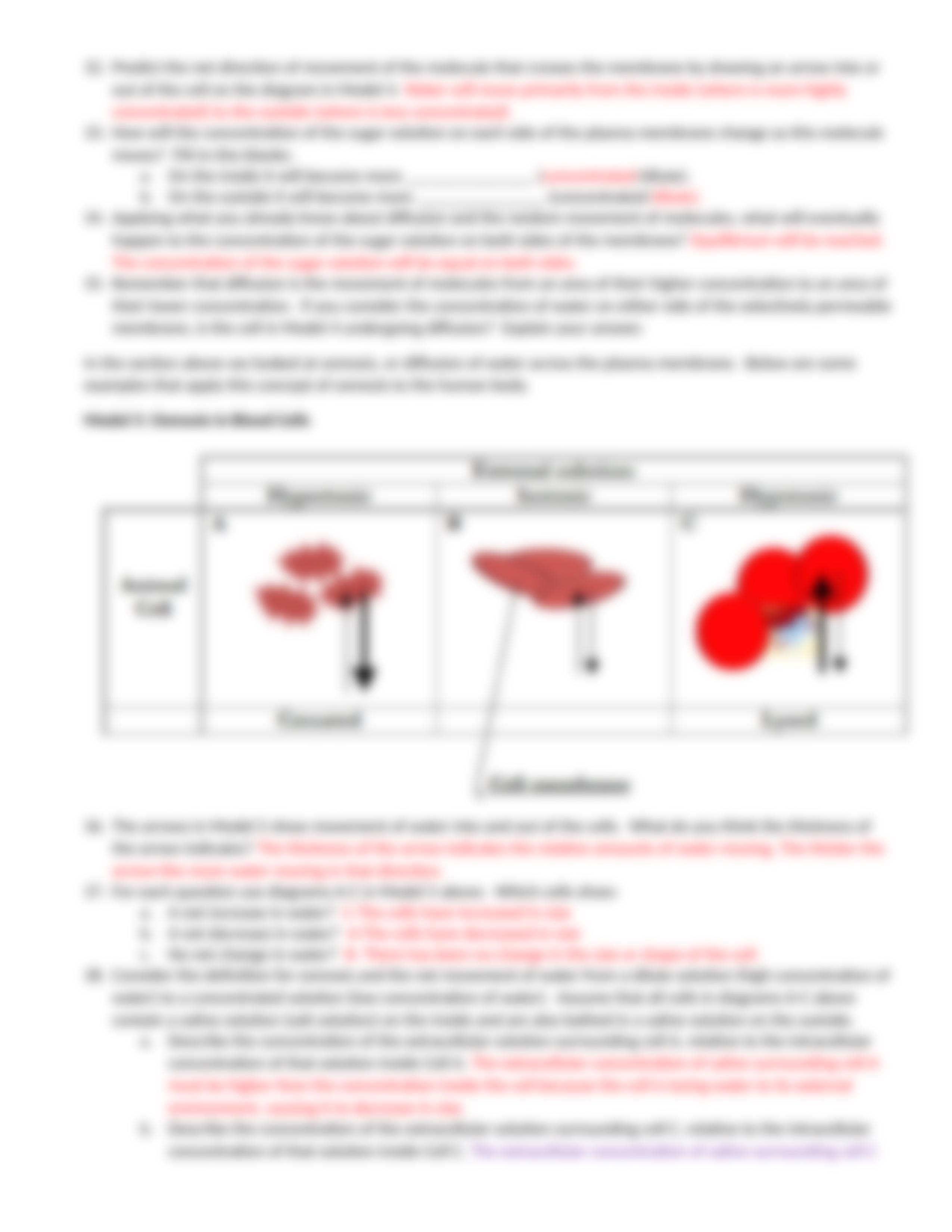 Membrane Transport POGIL.docx_dr036k3ls8q_page5