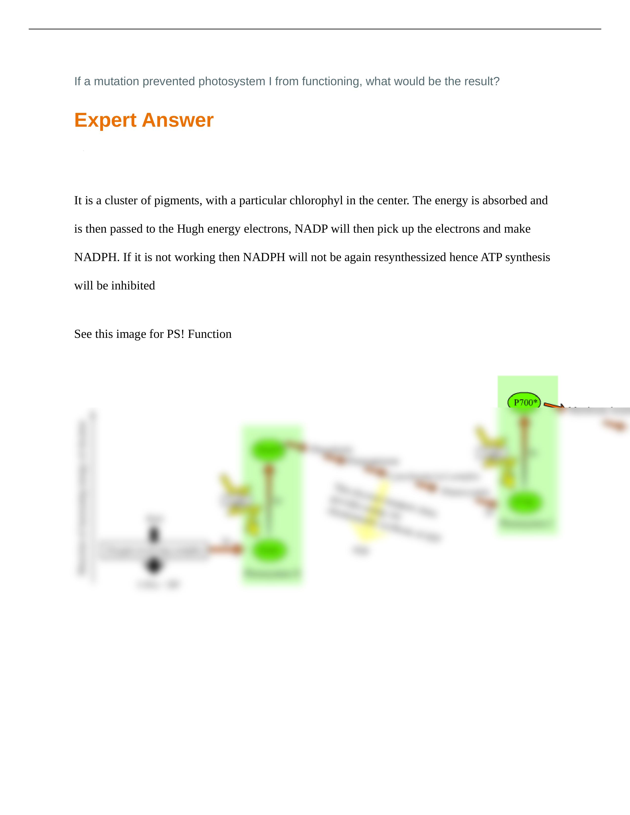 SOLUTION-if-a-mutation-prevented-photosystem-.docx_dr2pdwmed3u_page1