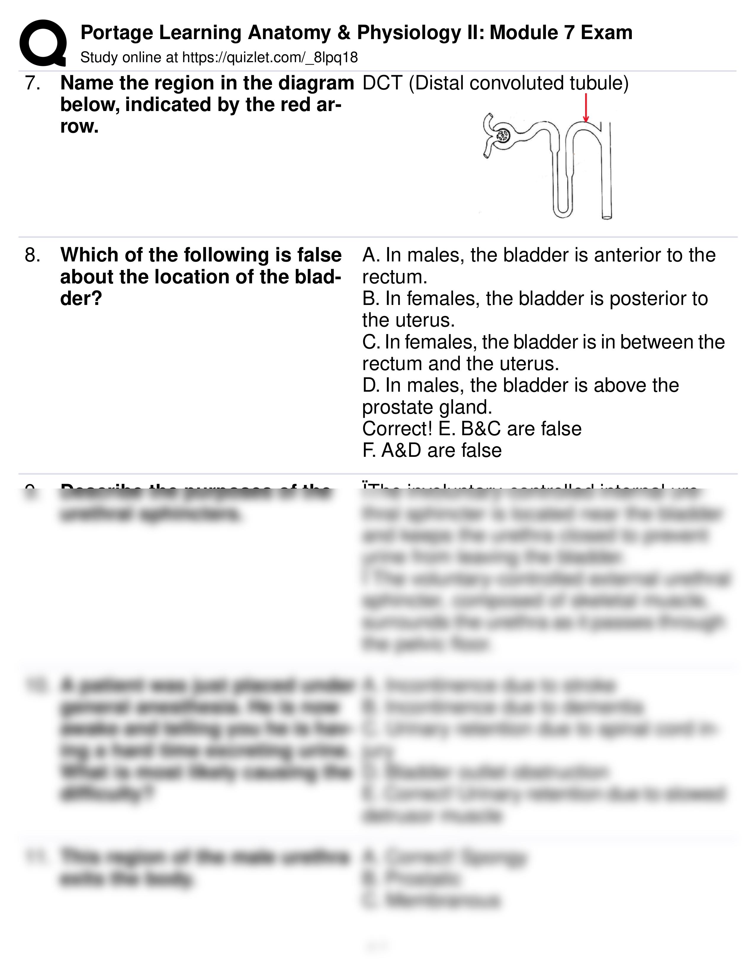 Portage Learning Anatomy & Physiology II_ Module 7 Exam.pdf_dr2tfcd3b9m_page2