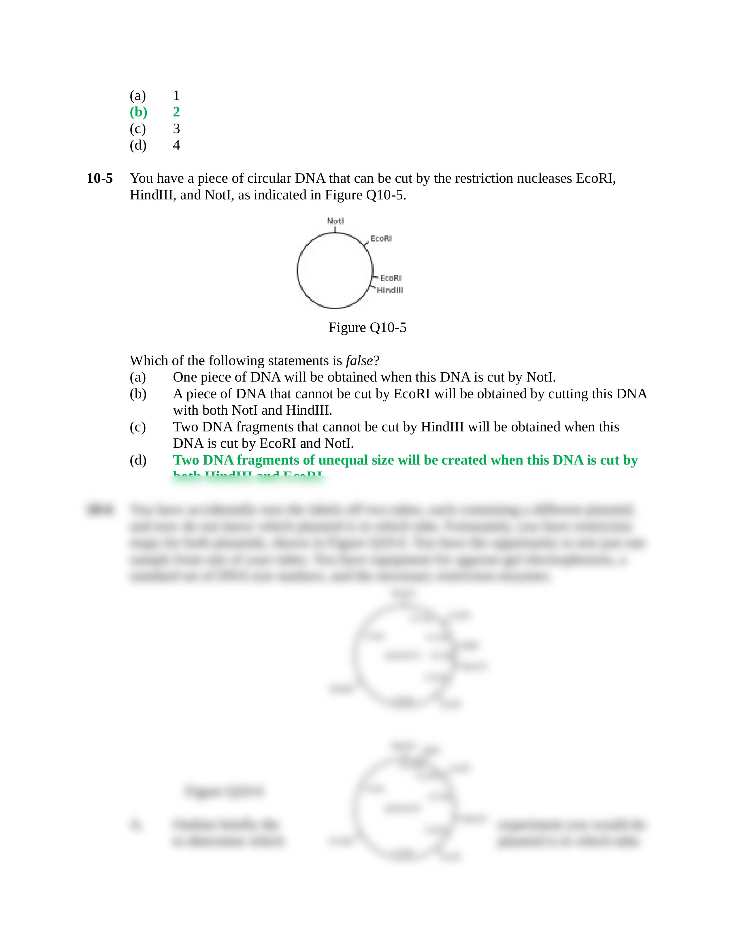 CHAPTER 10 (SOLVED)_dr2x7anxwdp_page2