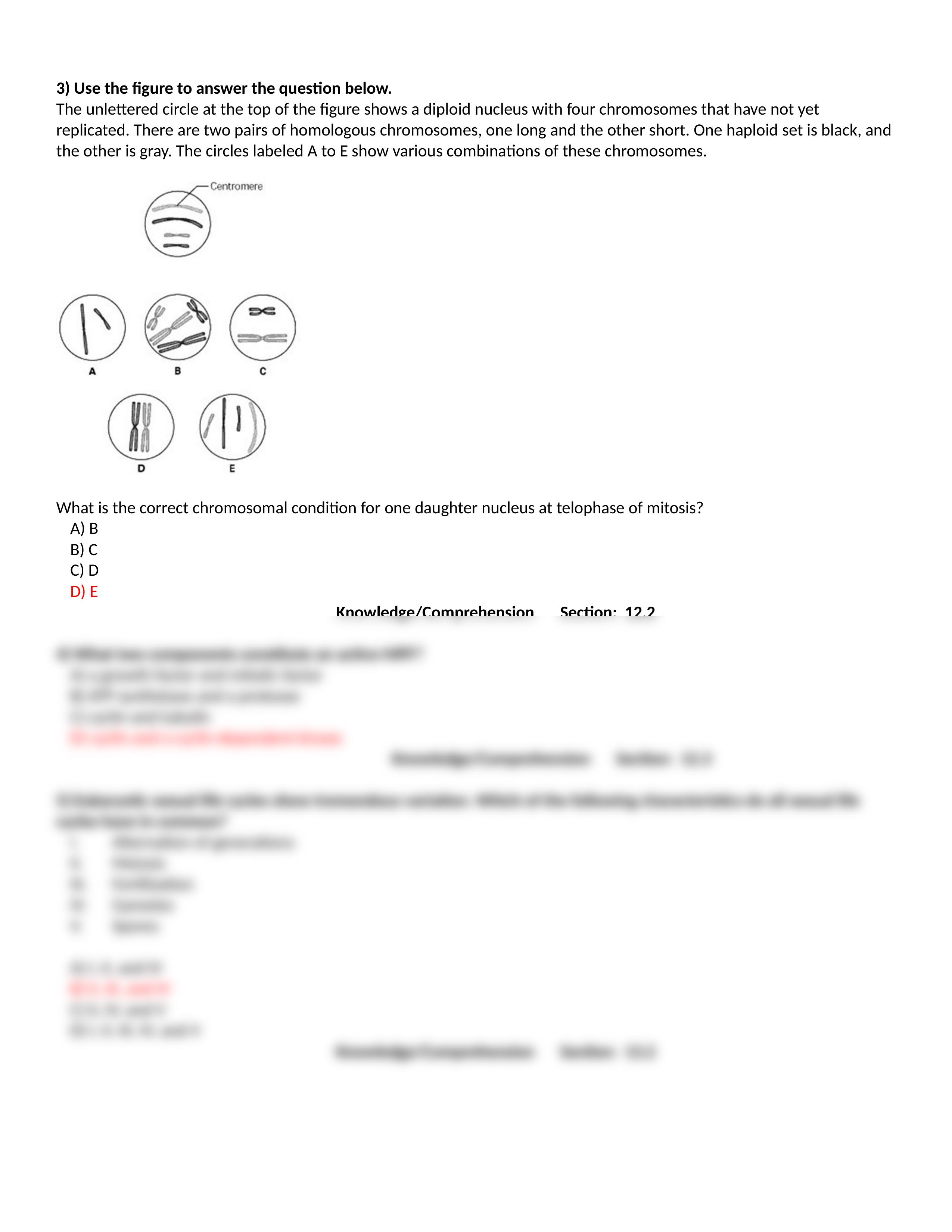 Exam 3 answer bank .docx_dr42k5dcxib_page2