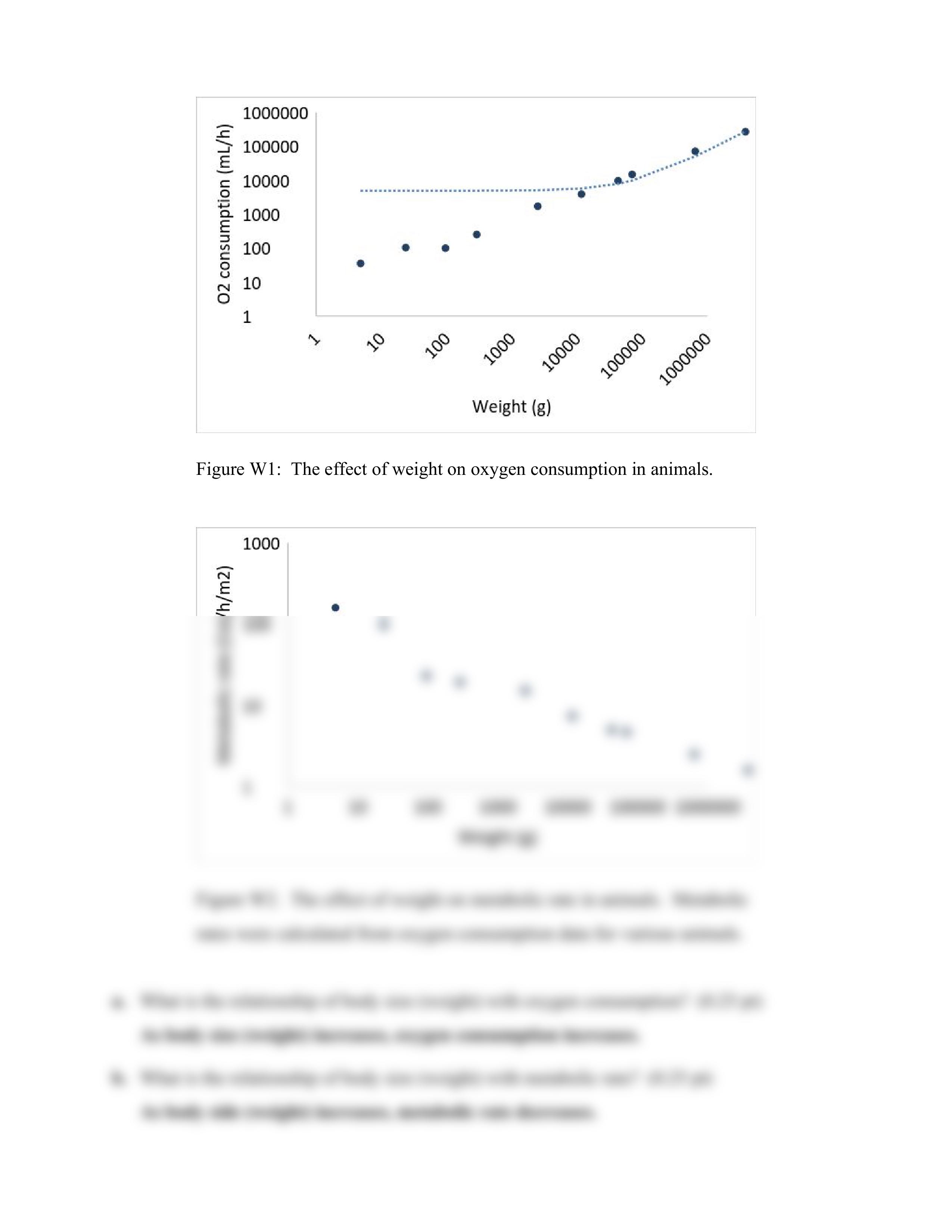 Lab 5 Metabolism worksheet (1).pdf_dr4xen14gsg_page2