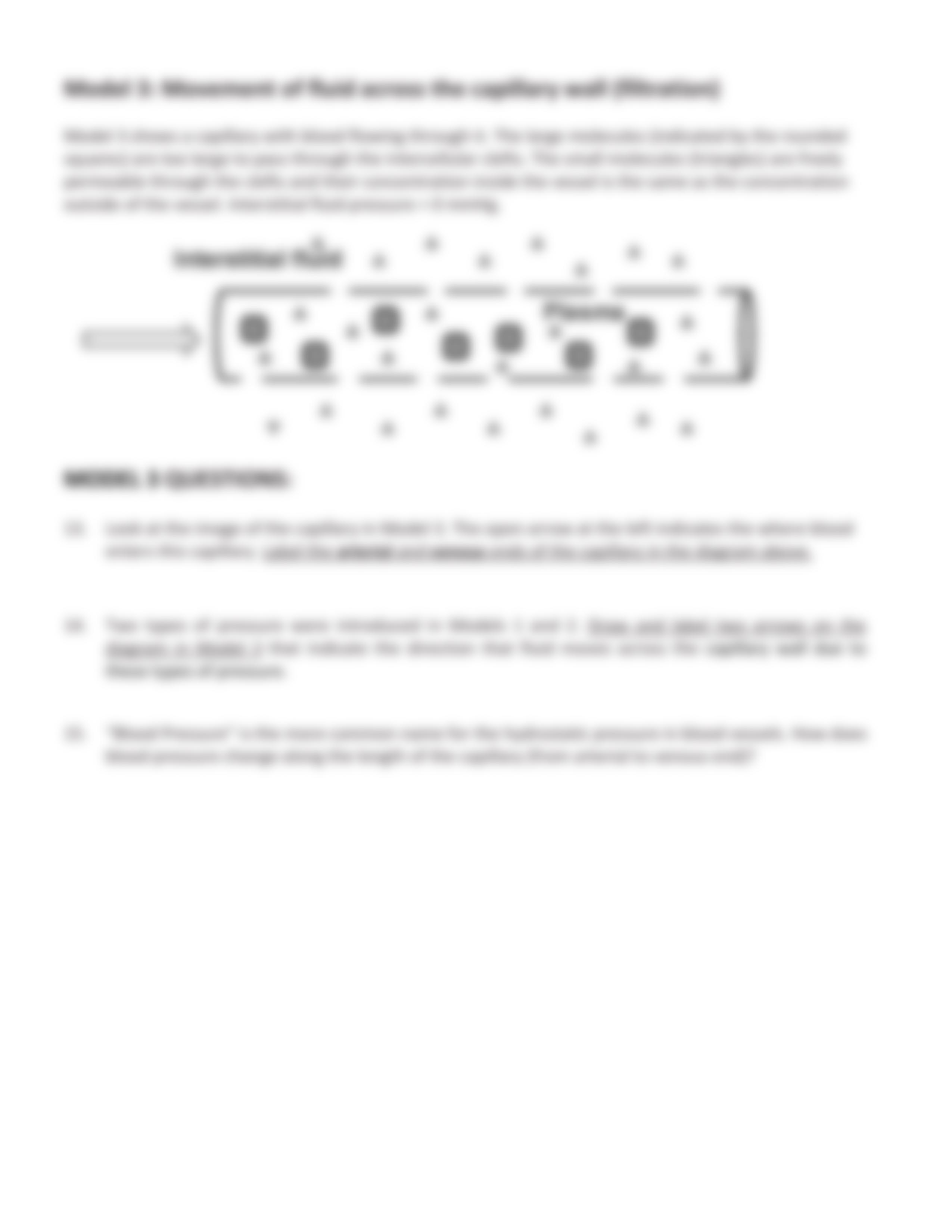 Worksheet3-CapillaryDynamics_dr5i82p2kop_page4