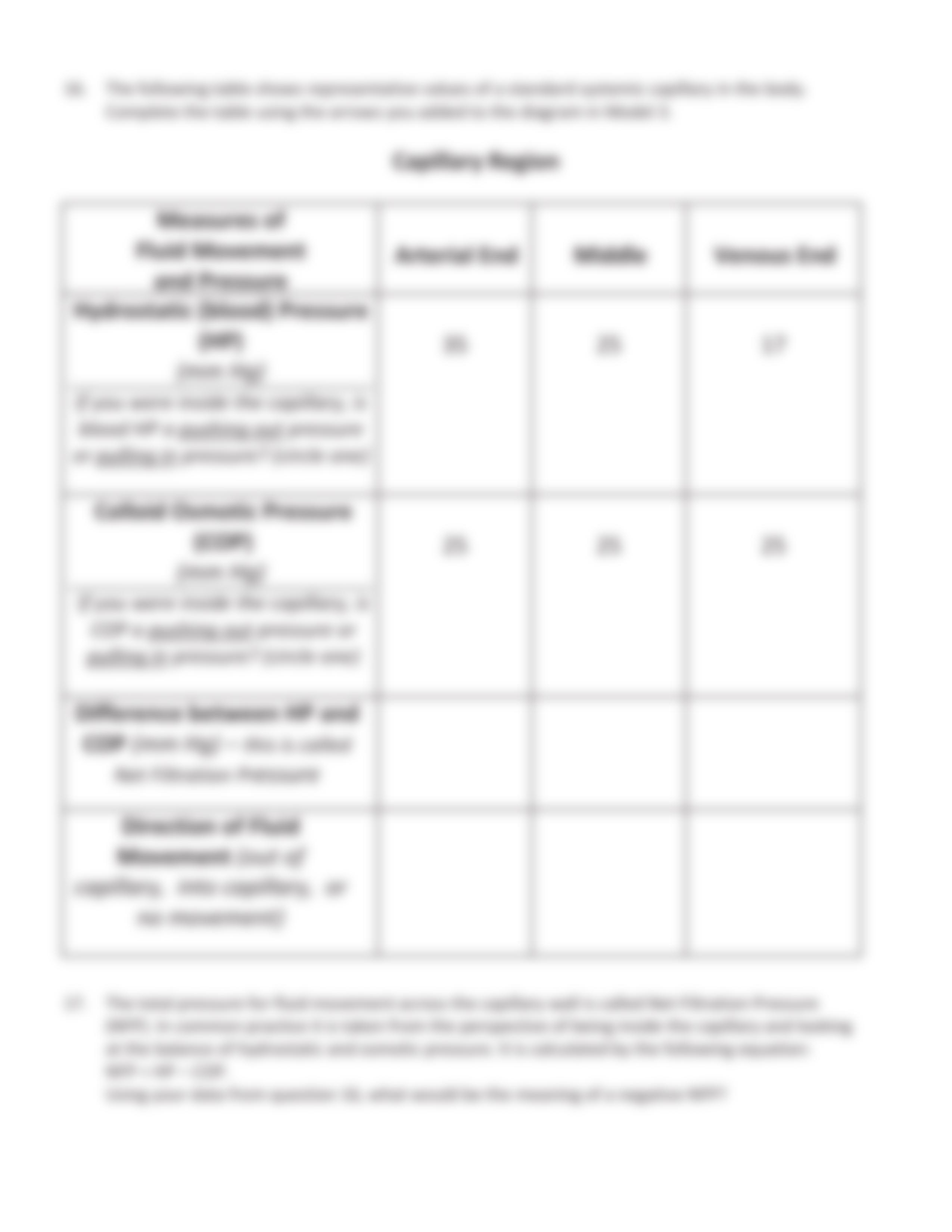 Worksheet3-CapillaryDynamics_dr5i82p2kop_page5