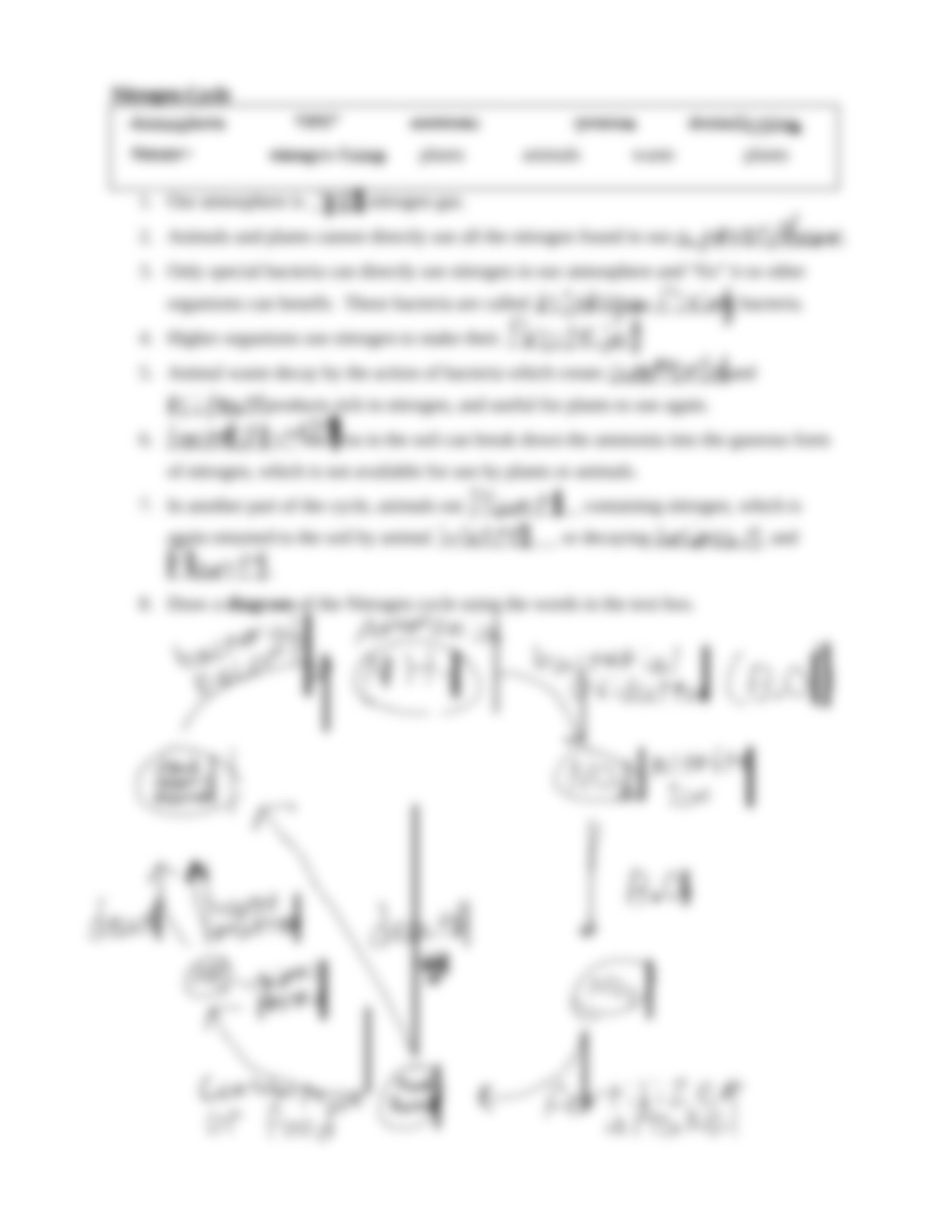 CycleWorksheet.docx_dr69fegn7qj_page4