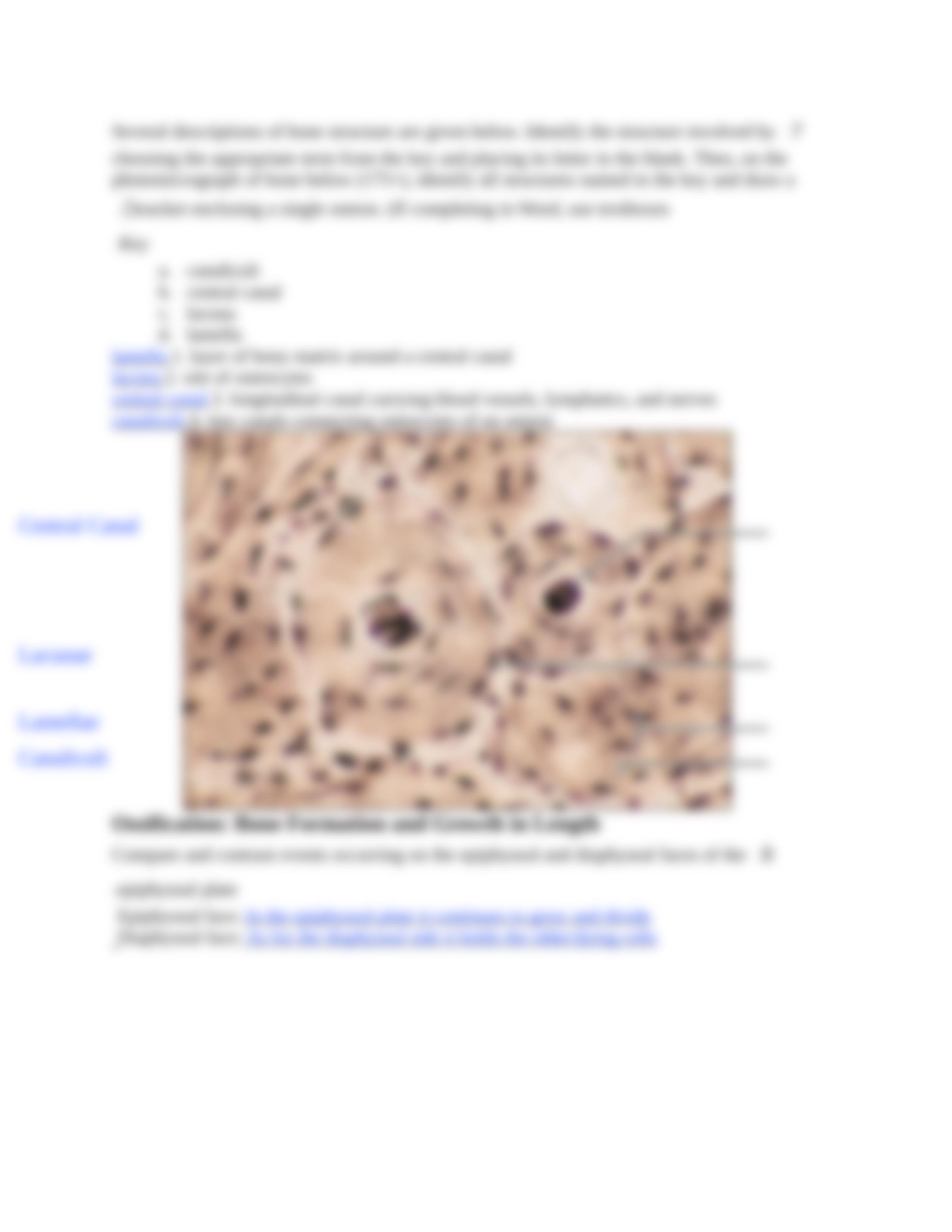 Ex08 Review sheet - Overview of the Skeleton - Classification and Structure of Bones and Cartilages._dr7n4szinb7_page5