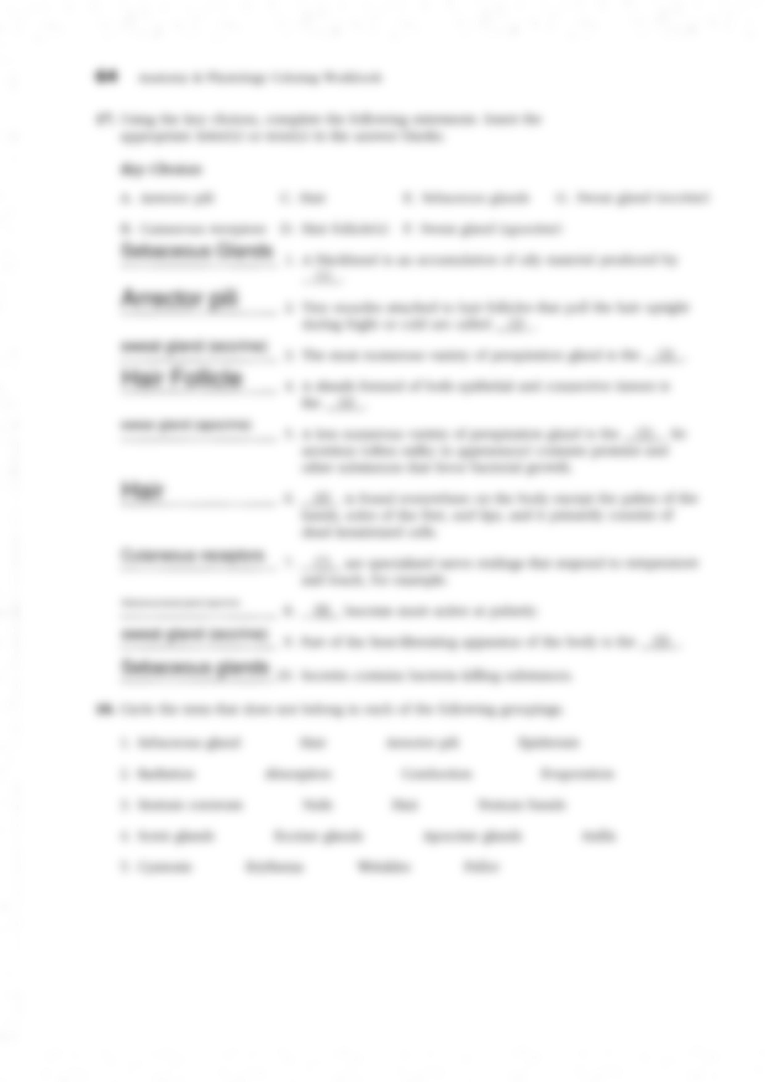 1-1 Skin (Clickable) (2) (1).pdf_dr7u13ikmeu_page2