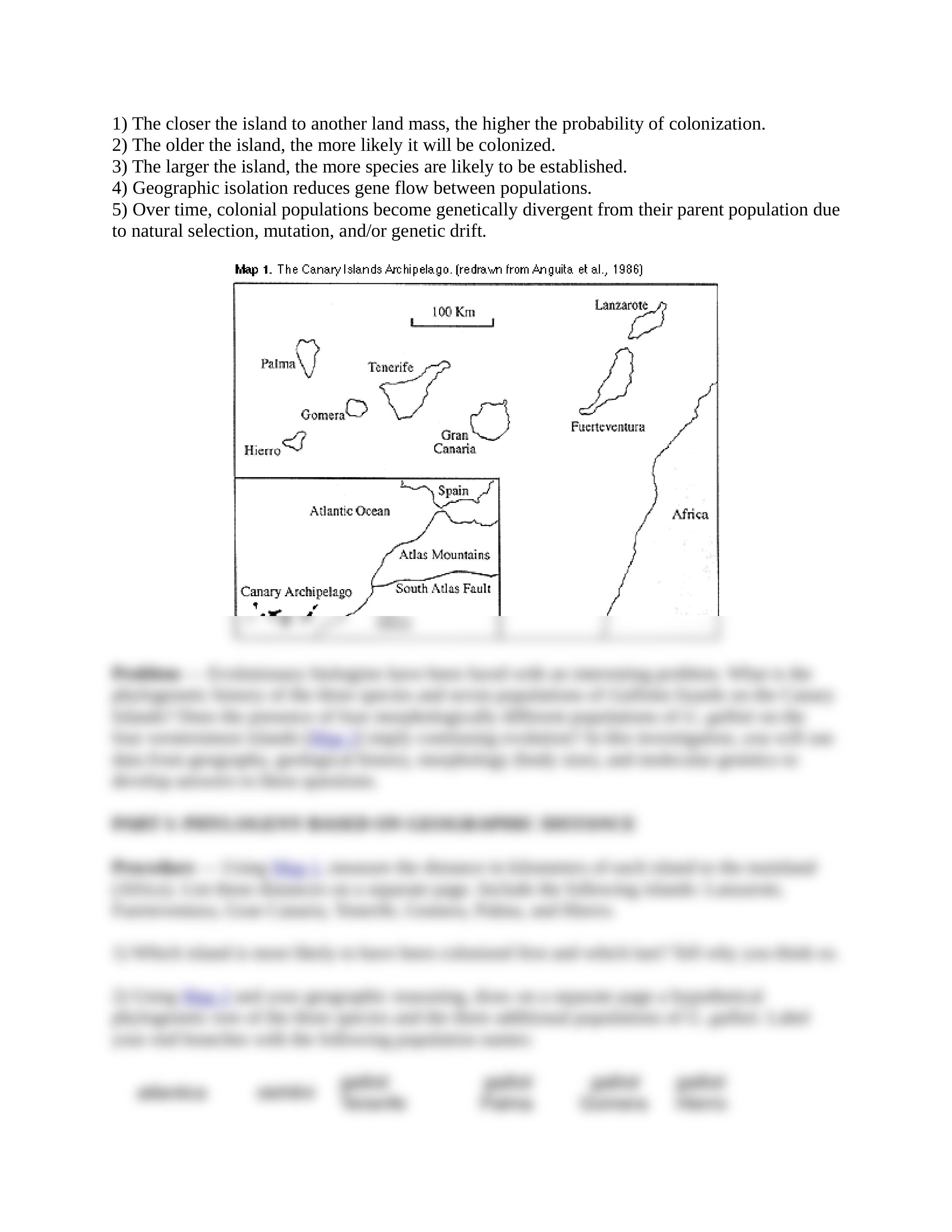 ISLAND BIOGEOGRAPHY AND EVOLUTION - RP Filson.docx_drbq1v6by6o_page2