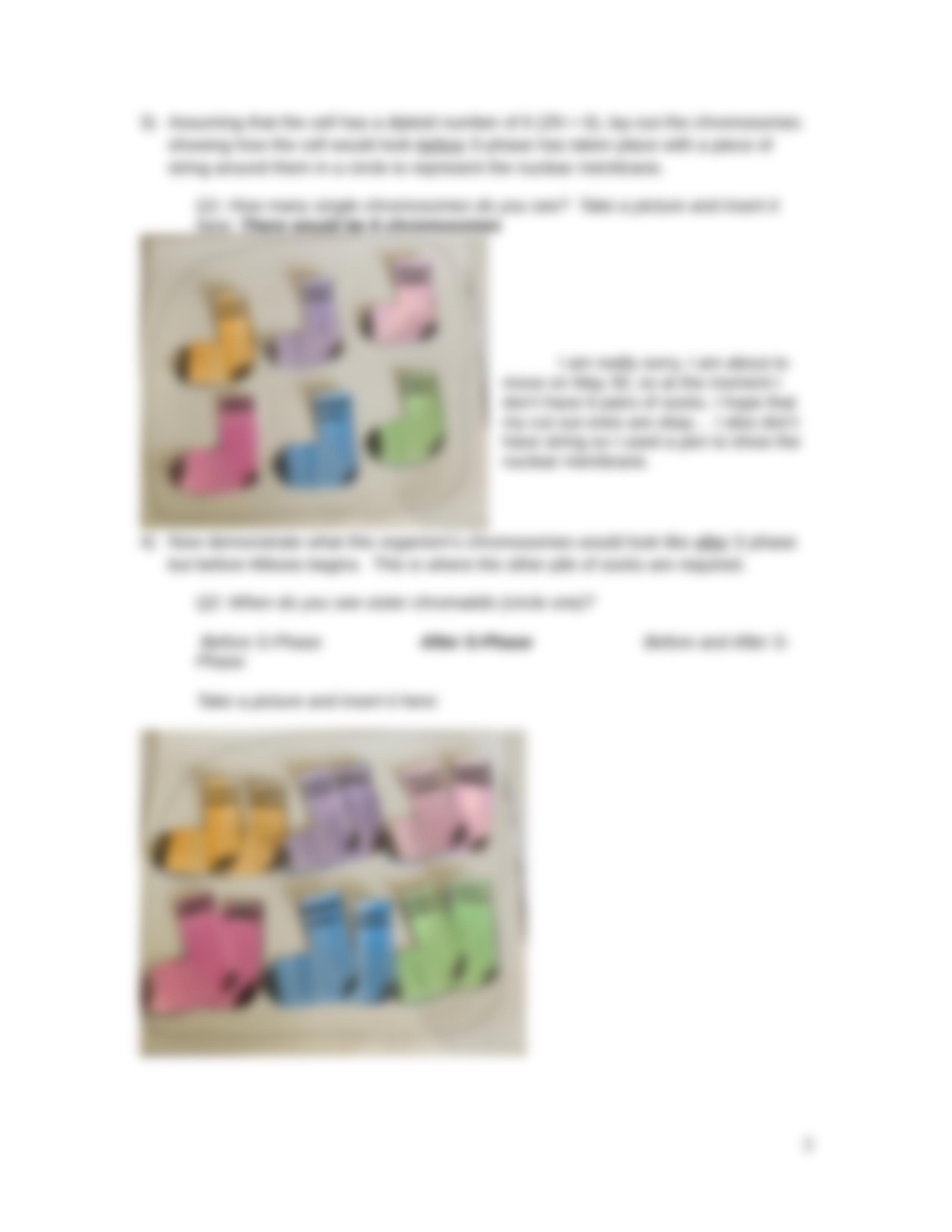 Lab 7.  Cell Division exercise using socks as chromosomes 2020.docx_drhiyqqnq04_page3