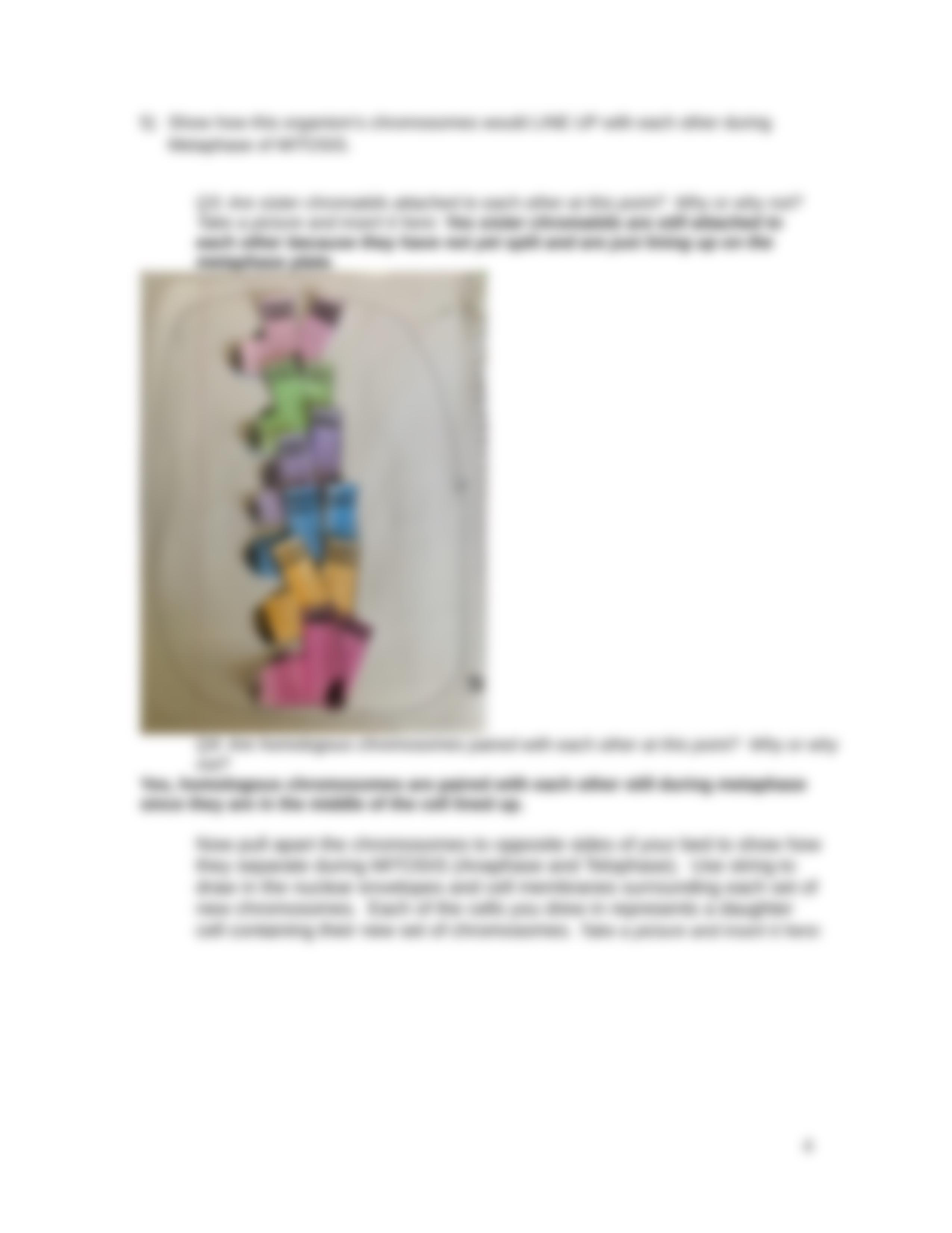 Lab 7.  Cell Division exercise using socks as chromosomes 2020.docx_drhiyqqnq04_page4