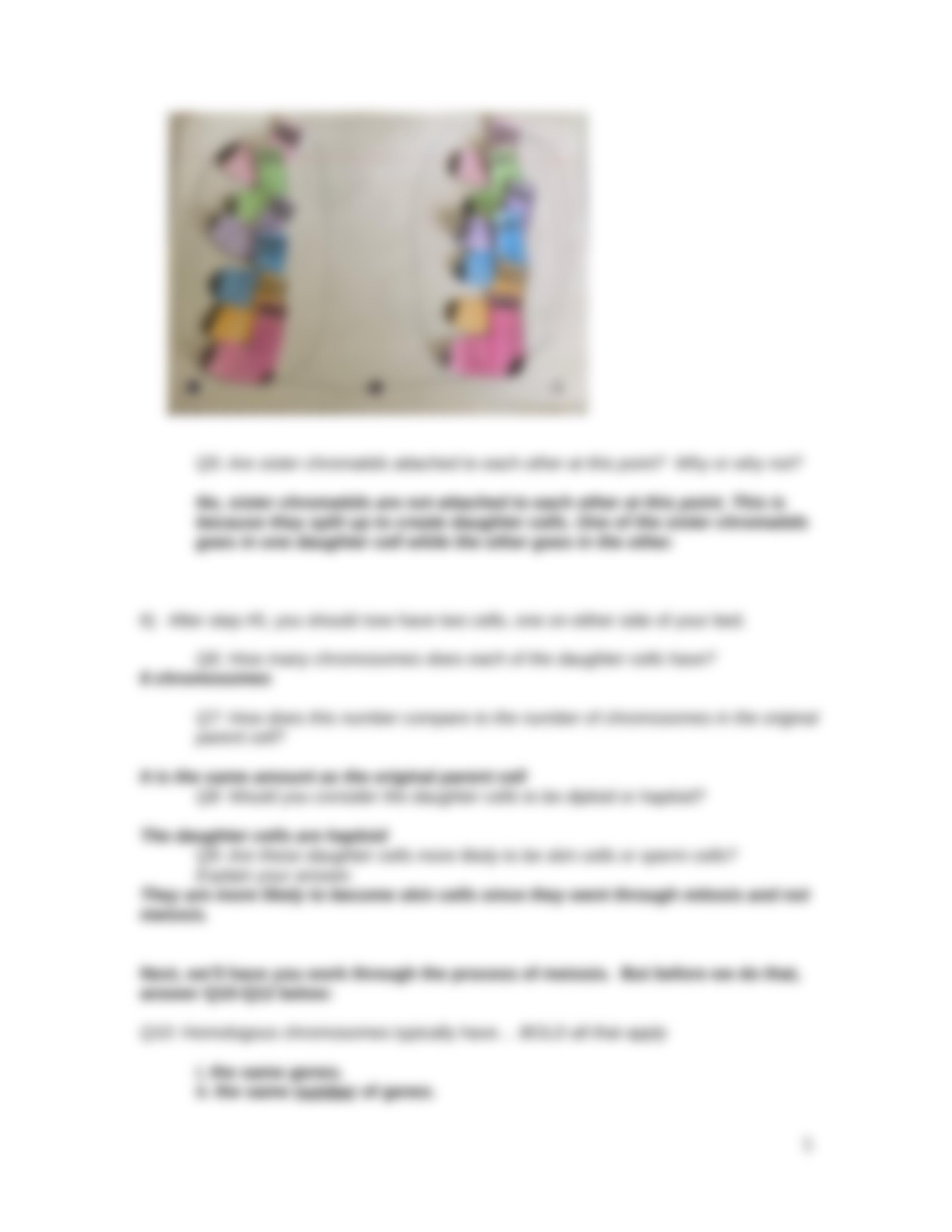 Lab 7.  Cell Division exercise using socks as chromosomes 2020.docx_drhiyqqnq04_page5