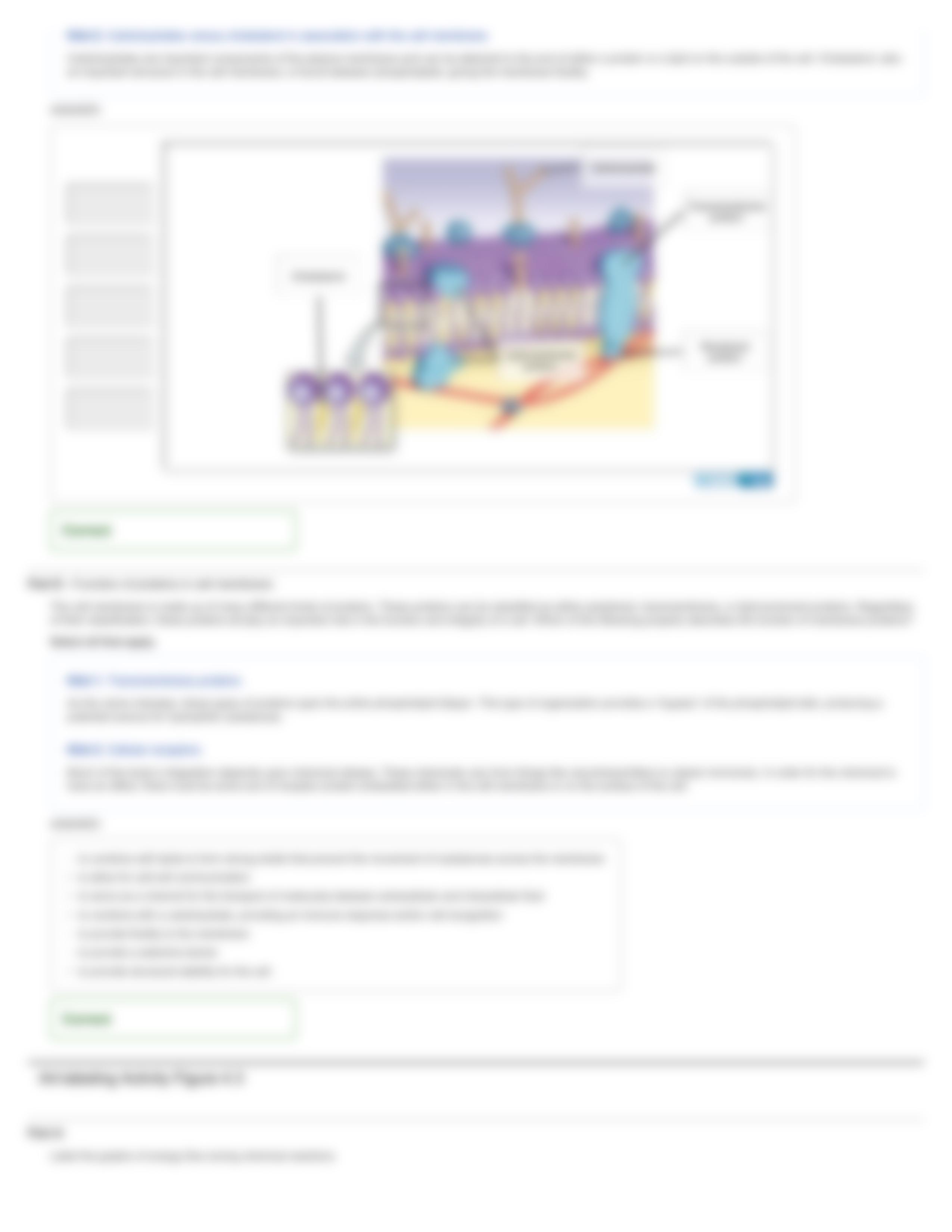 MAP.Lec.Exam I homework_driw51ibuxr_page4