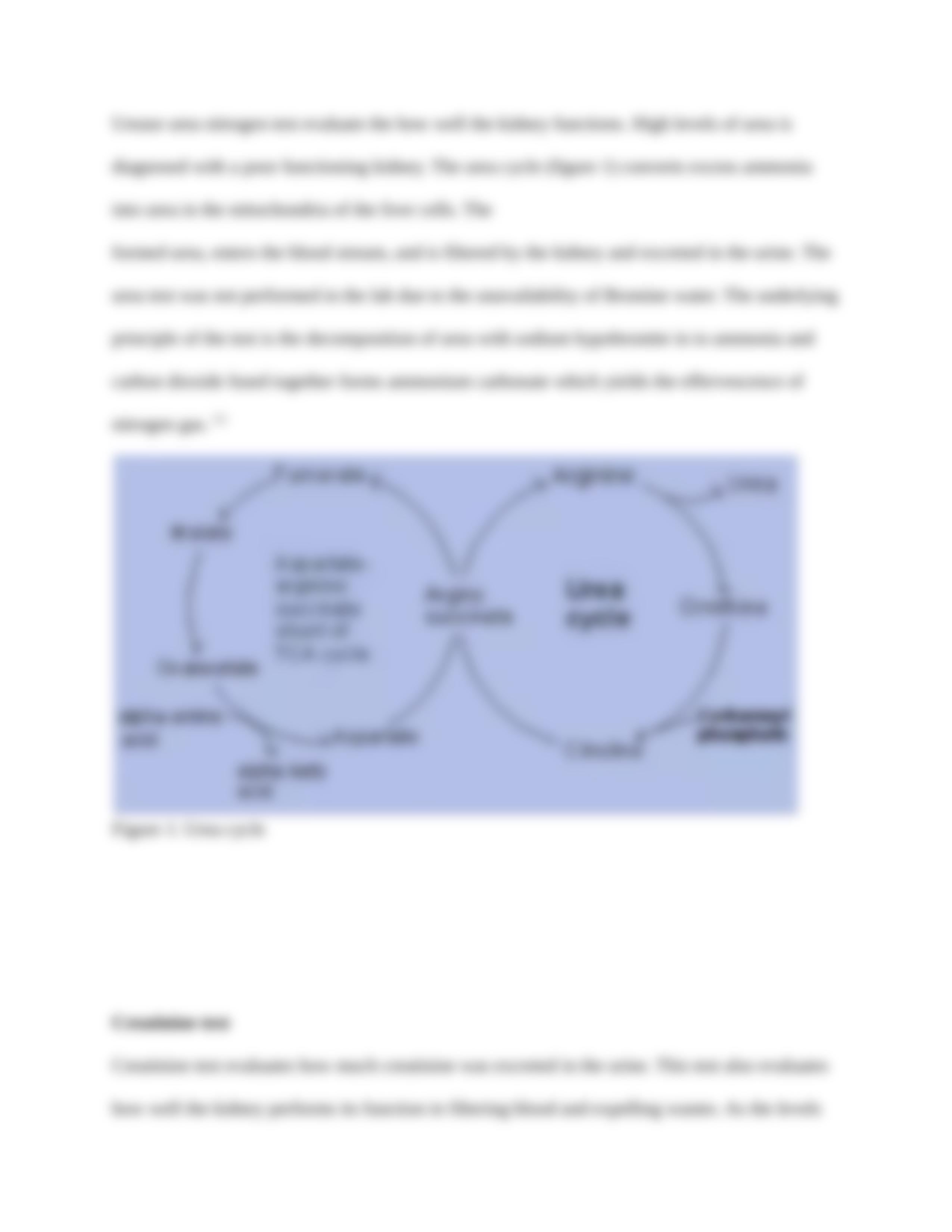 Urinalysis.docx_drj3e6vsvy5_page5