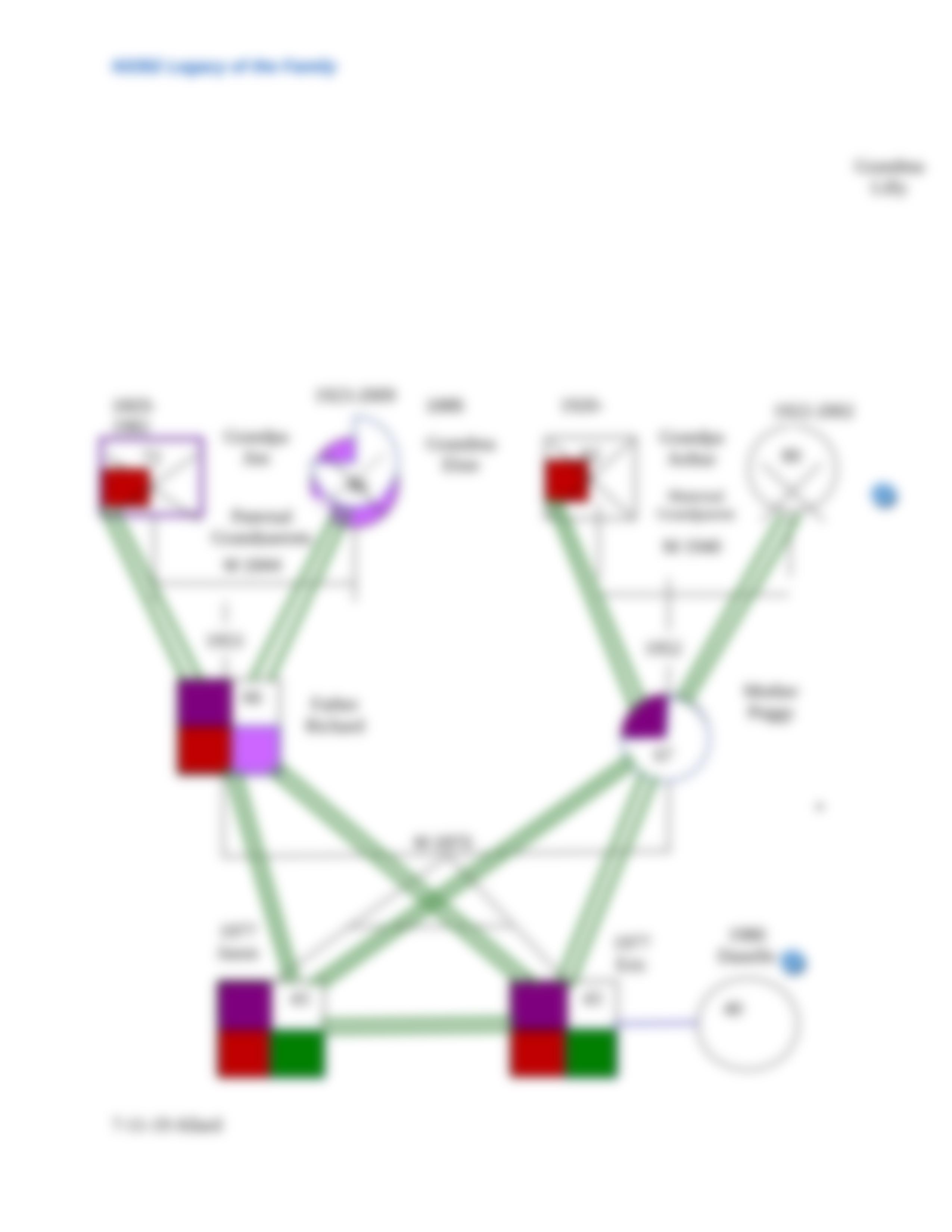 Anderson_Interview Family Genogram-1.doc_drl3si8m6g5_page4