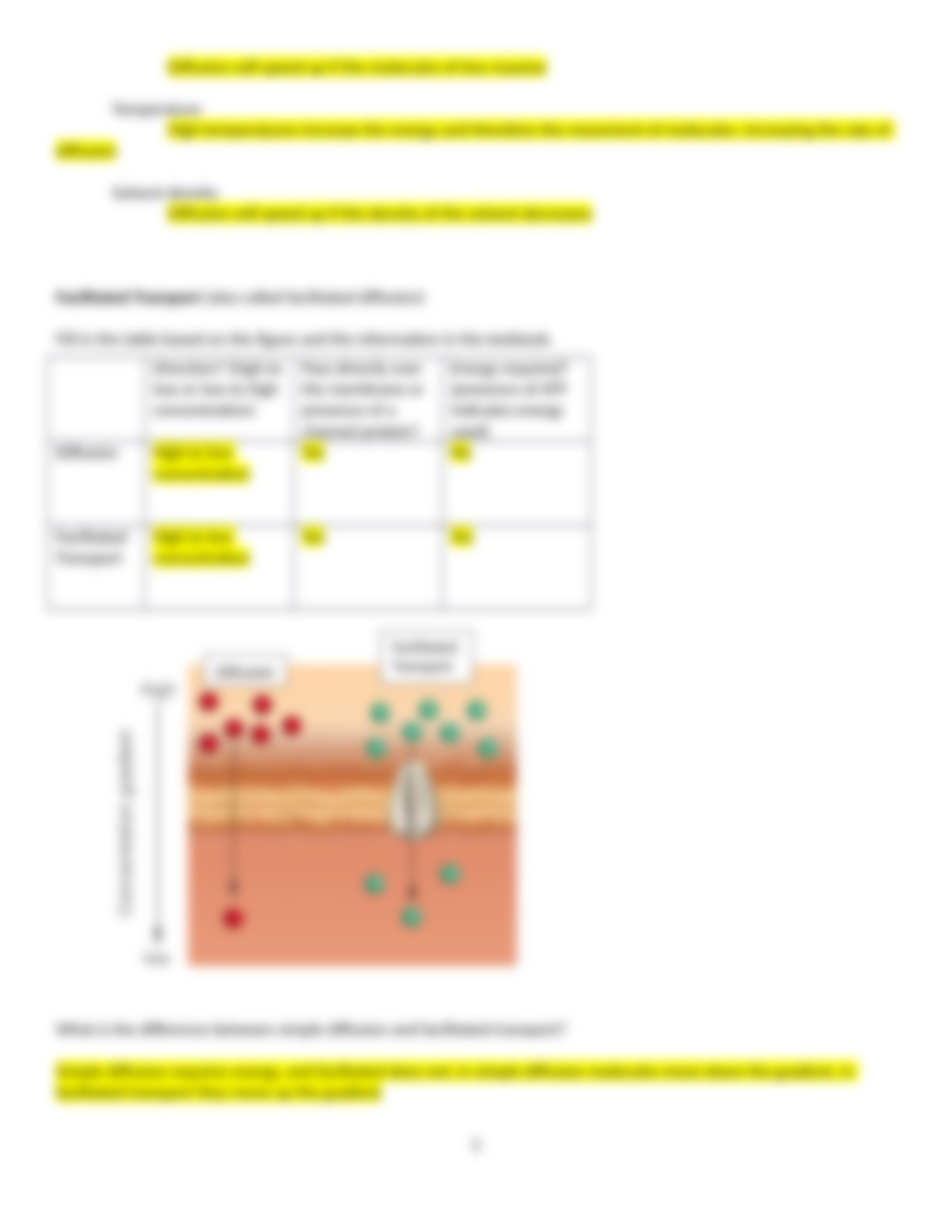 Chapter 3B Worksheet OpenStax.docx_drp370hx4o6_page5