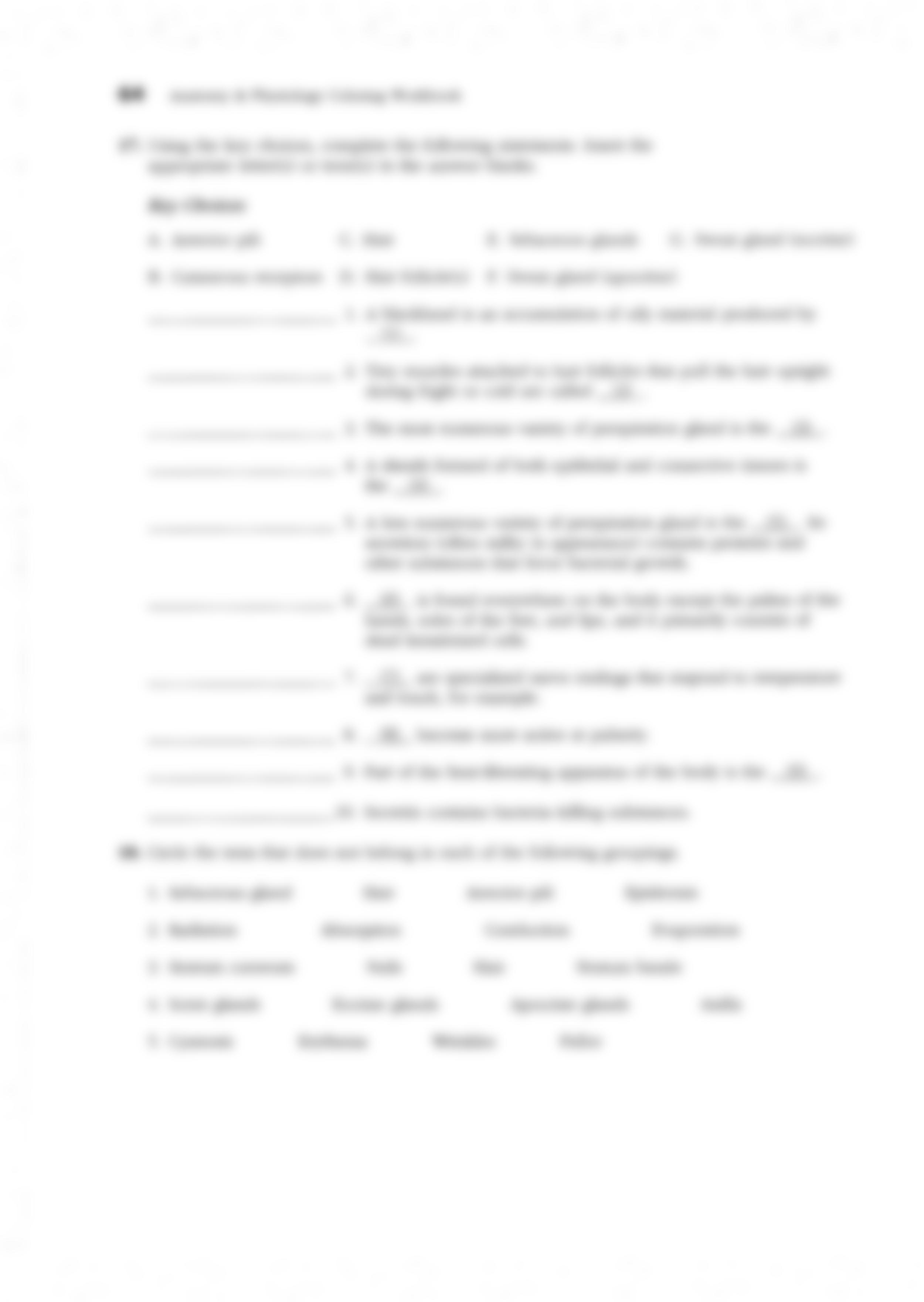 1-1 Skin (Clickable) (1).pdf_drxx6i13eeg_page2