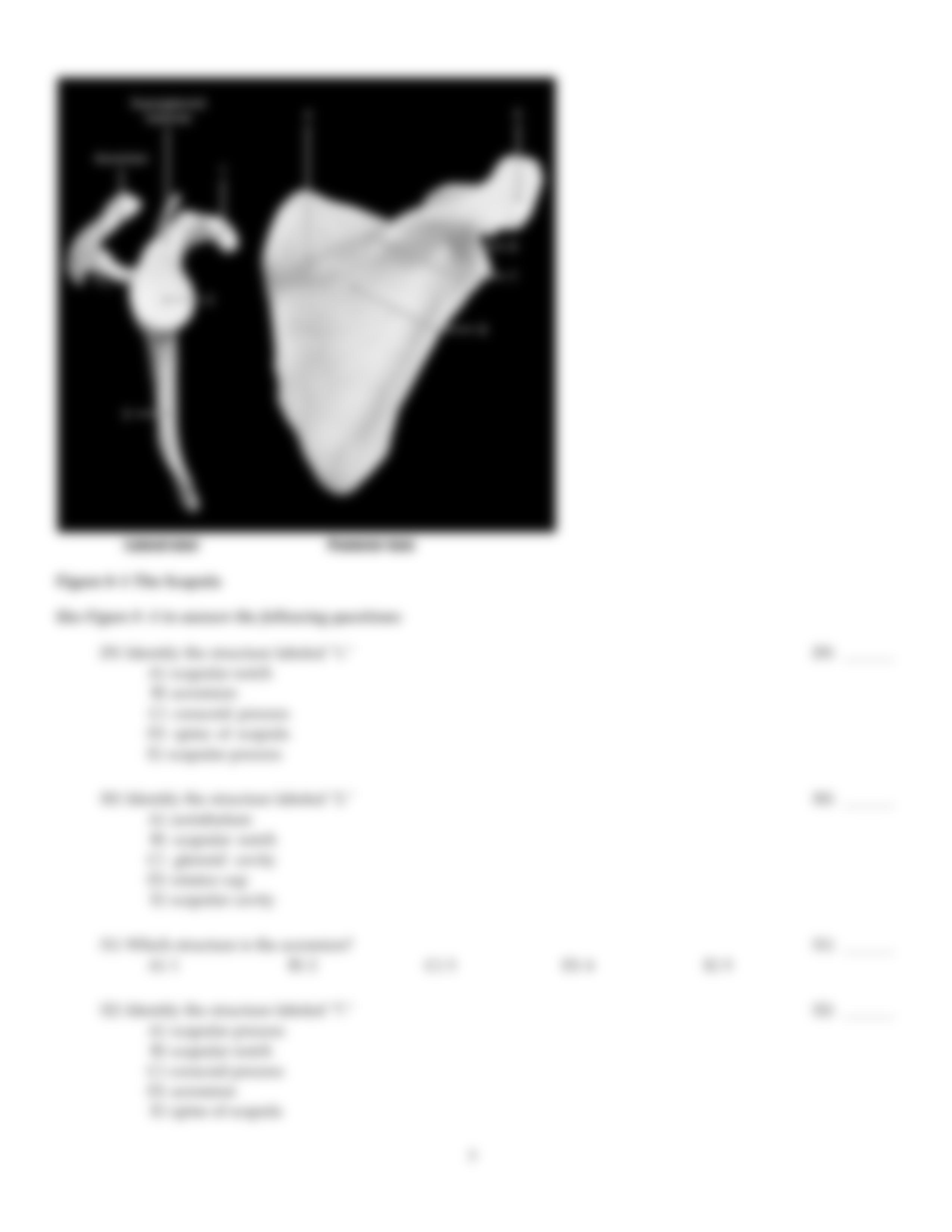 BIOL 2401 EXAM 3 (TAKE HOME)_dryjfu617fe_page5