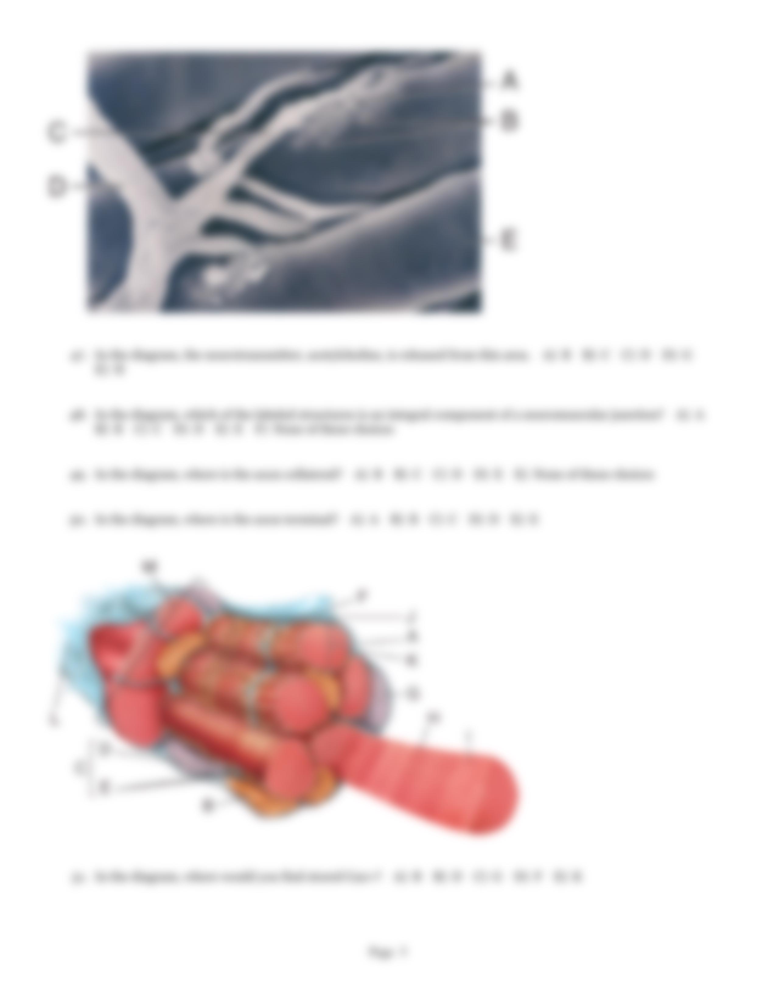 QB Muscle tissue-2_ds6wcynhamf_page5