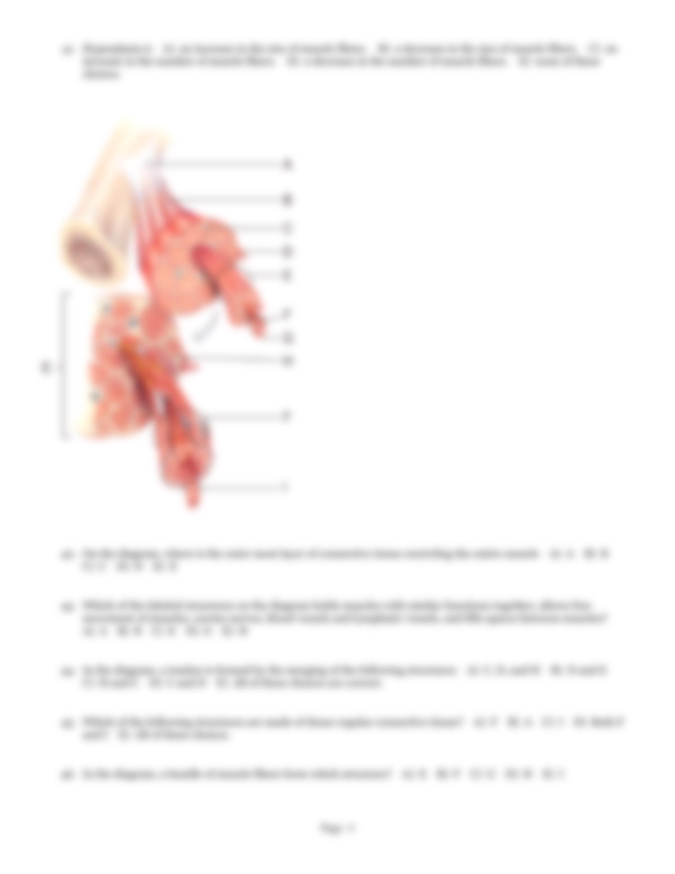 QB Muscle tissue-2_ds6wcynhamf_page4