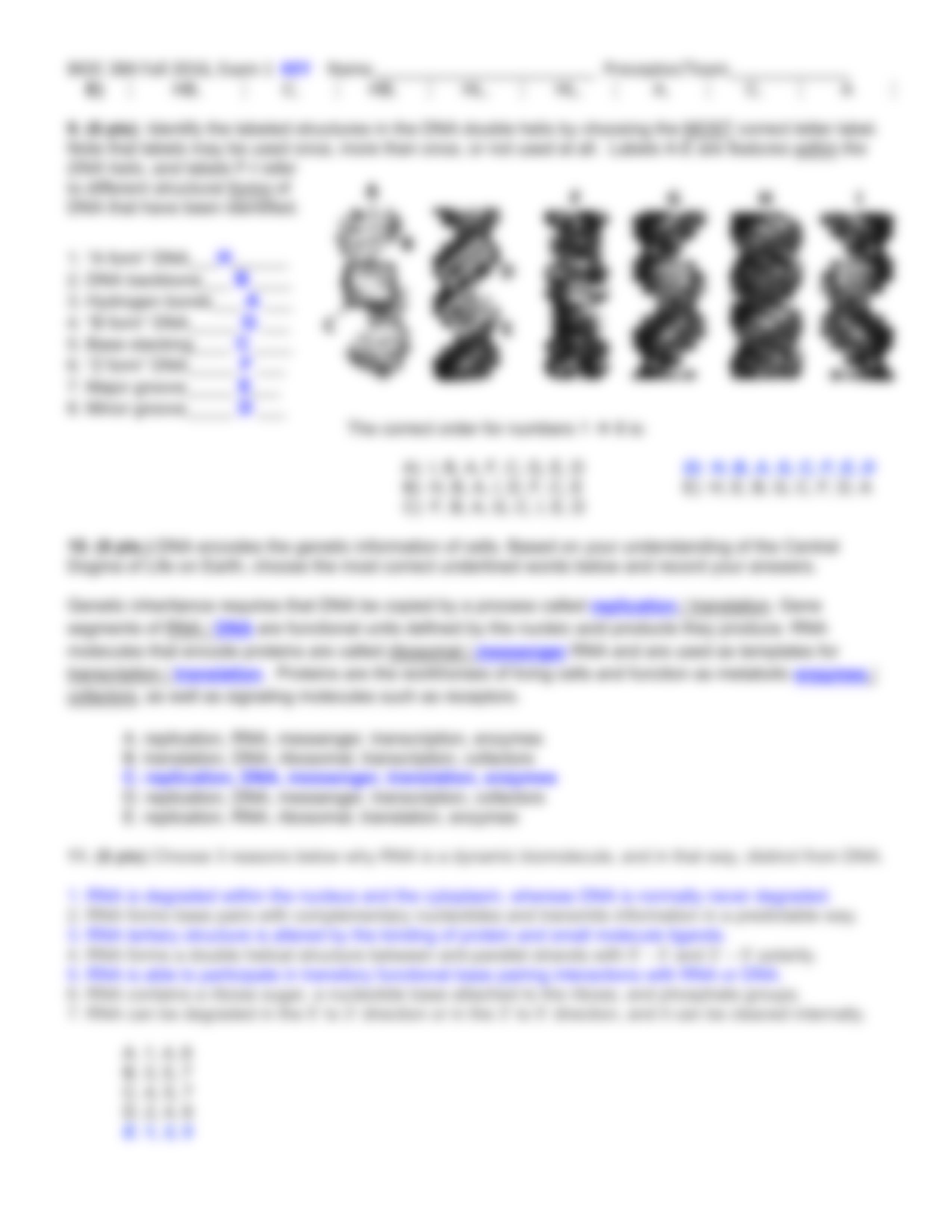 Bioc384-Exam1-Fall2016-KEY_ds756nxwwlb_page4