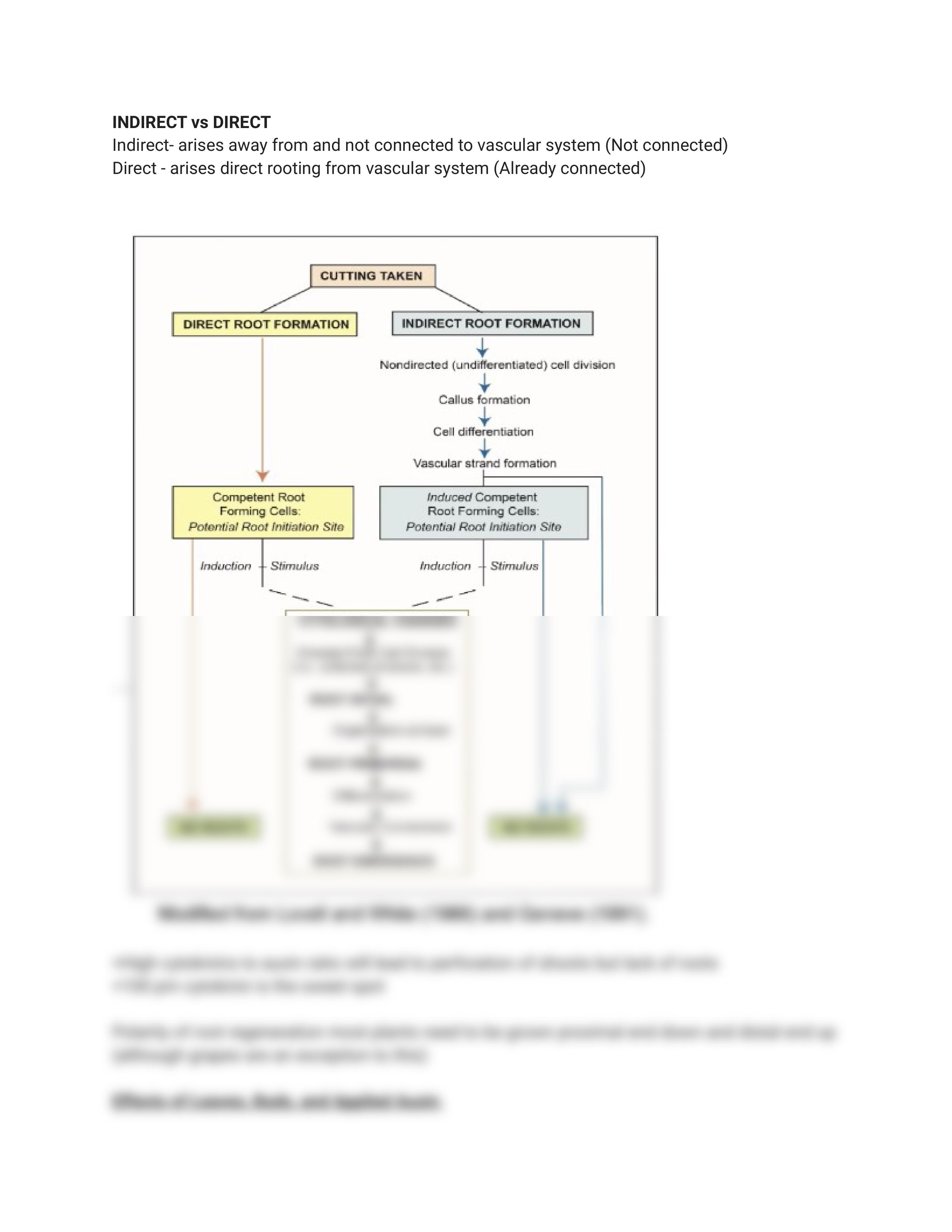 Propagation_Final_dscywxcfb51_page2