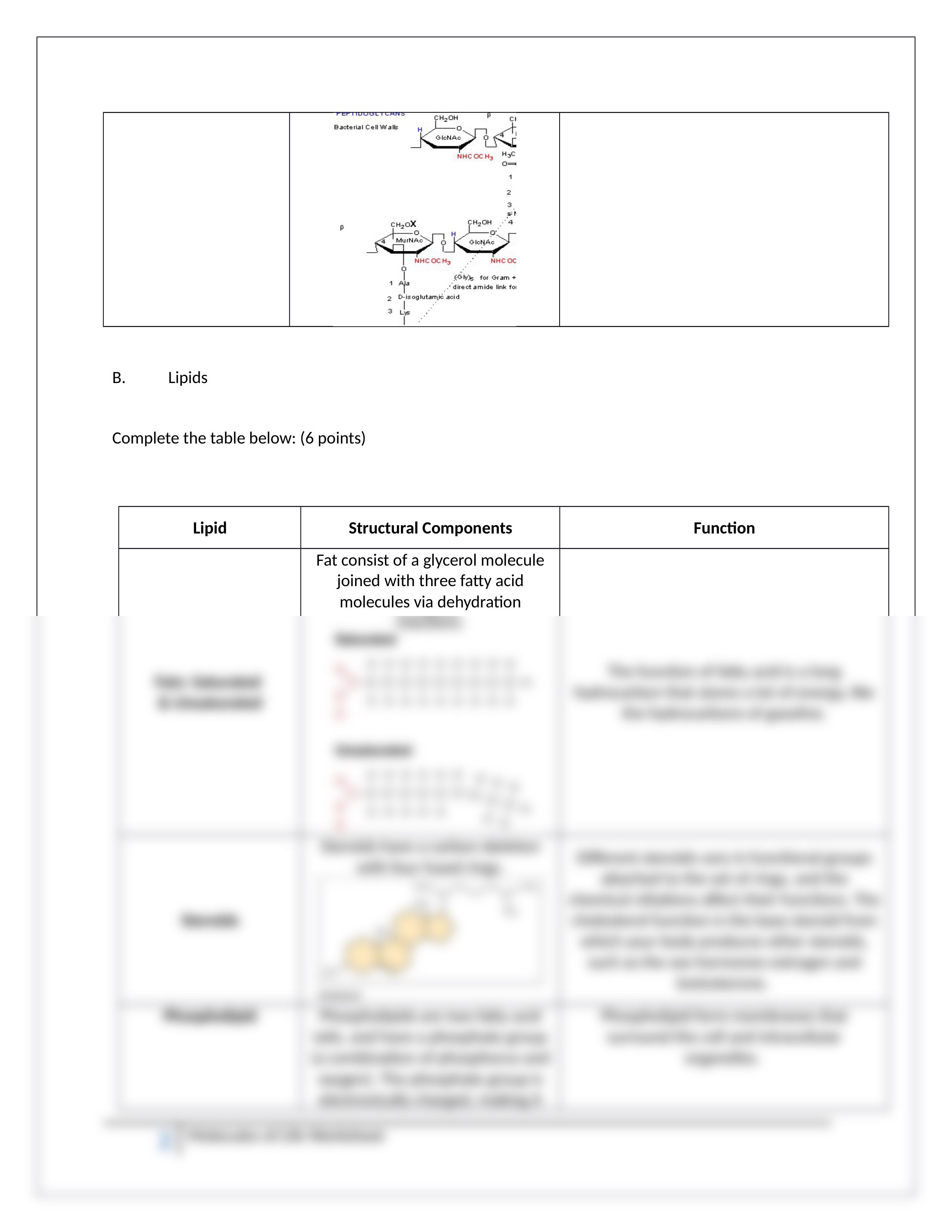 Assignment - Molecules of Life Worksheet_dsdsca1w7nl_page2