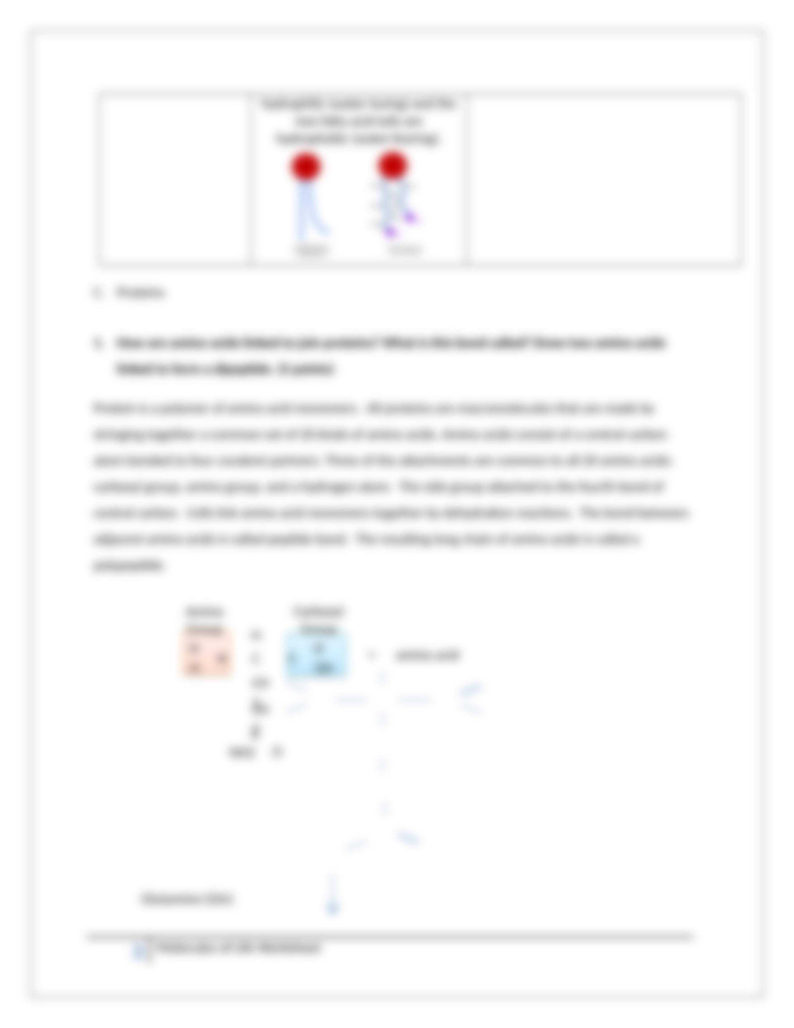 Assignment - Molecules of Life Worksheet_dsdsca1w7nl_page3