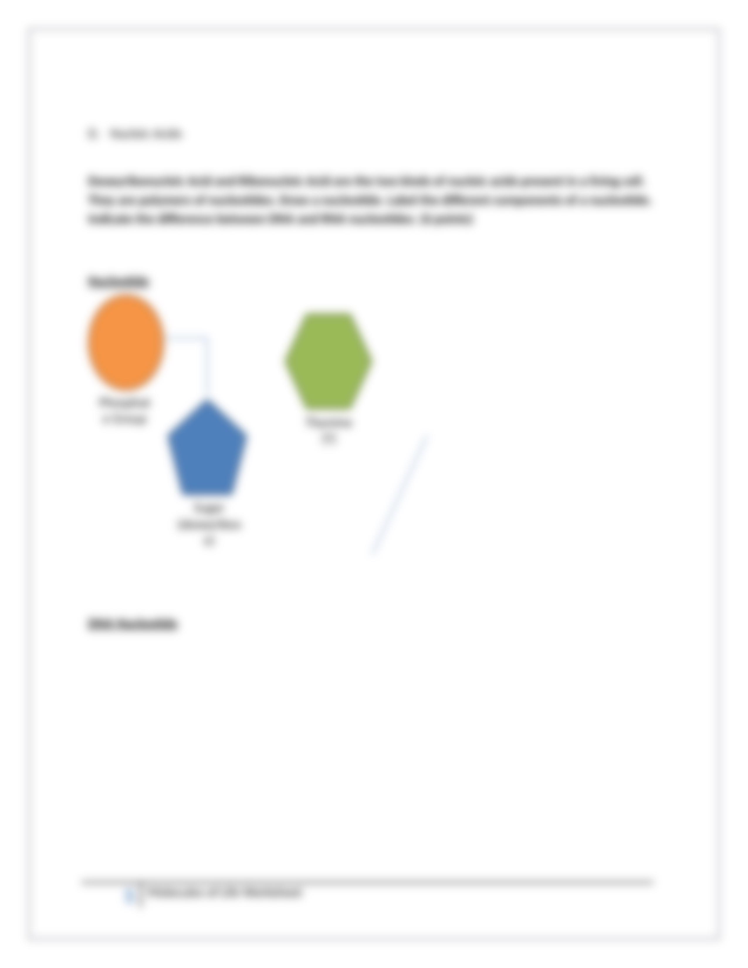 Assignment - Molecules of Life Worksheet_dsdsca1w7nl_page5