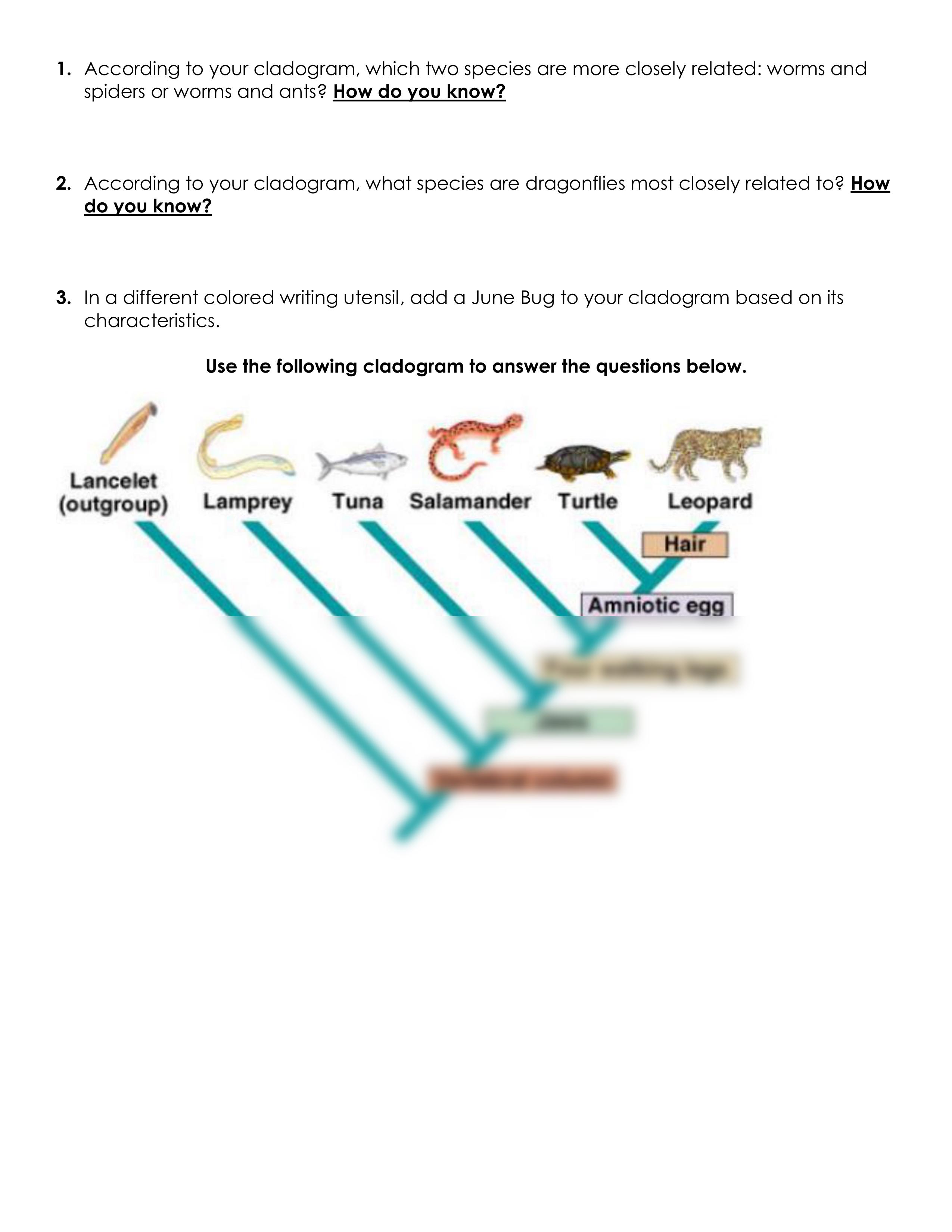 cladogram.pdf_dsdwgekoqws_page2