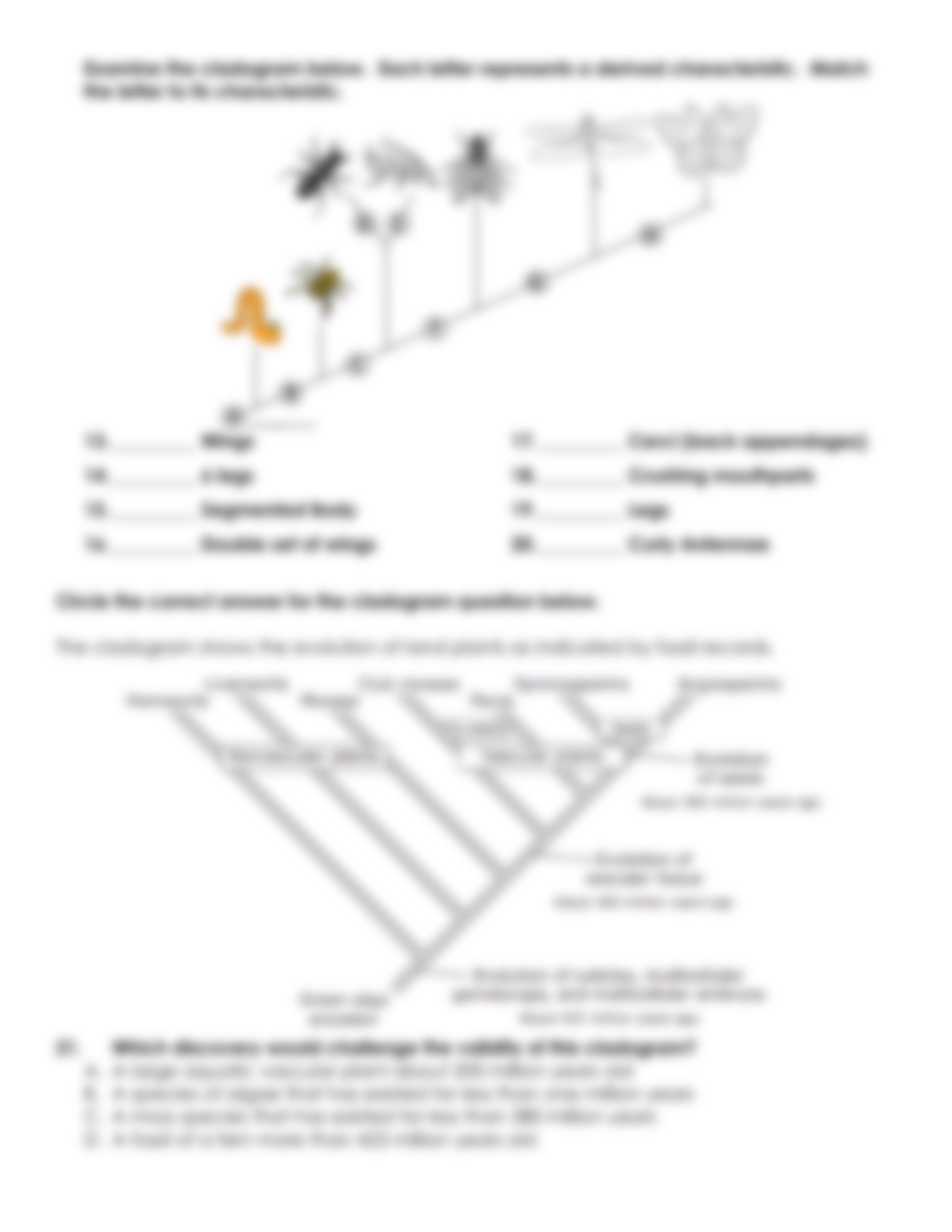 cladogram.pdf_dsdwgekoqws_page4