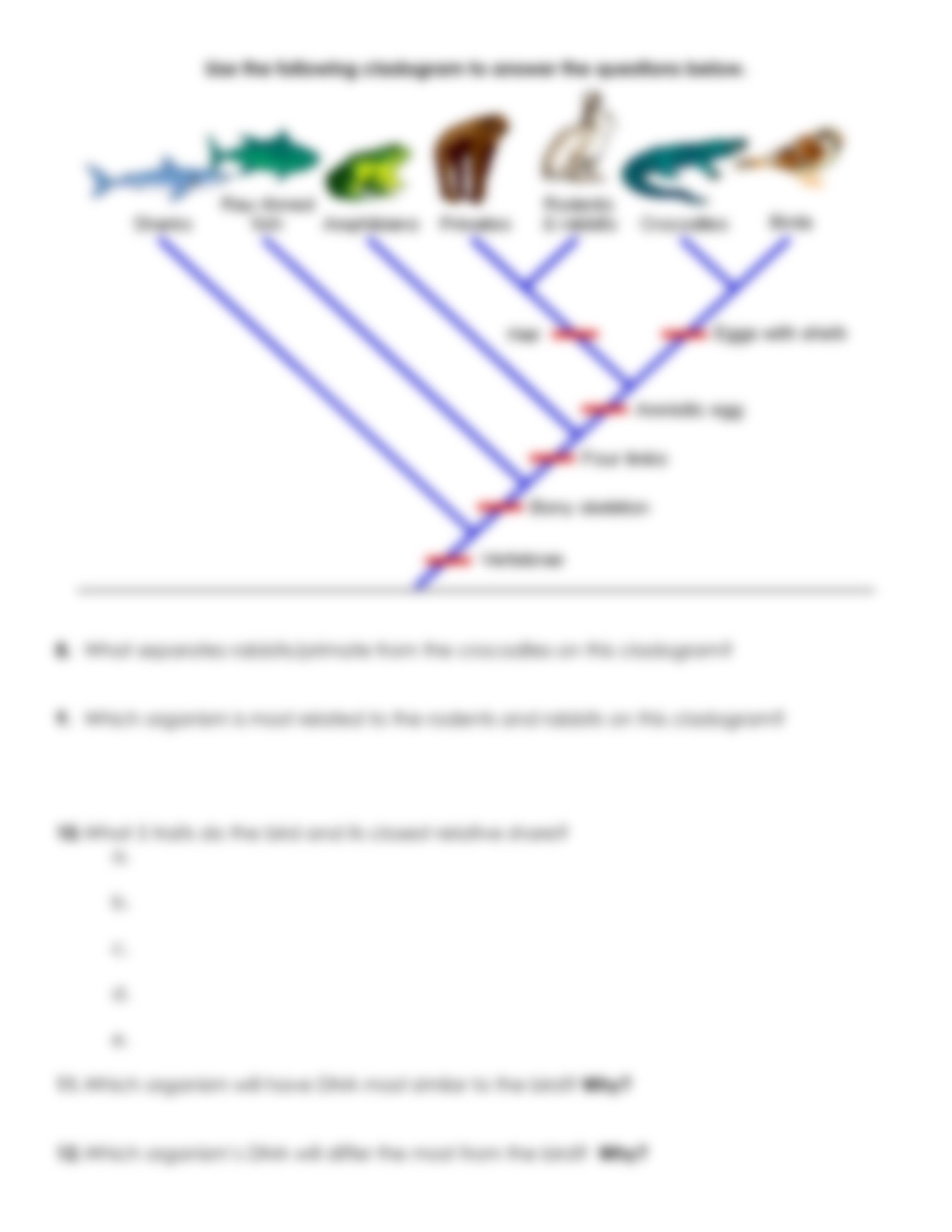 cladogram.pdf_dsdwgekoqws_page3