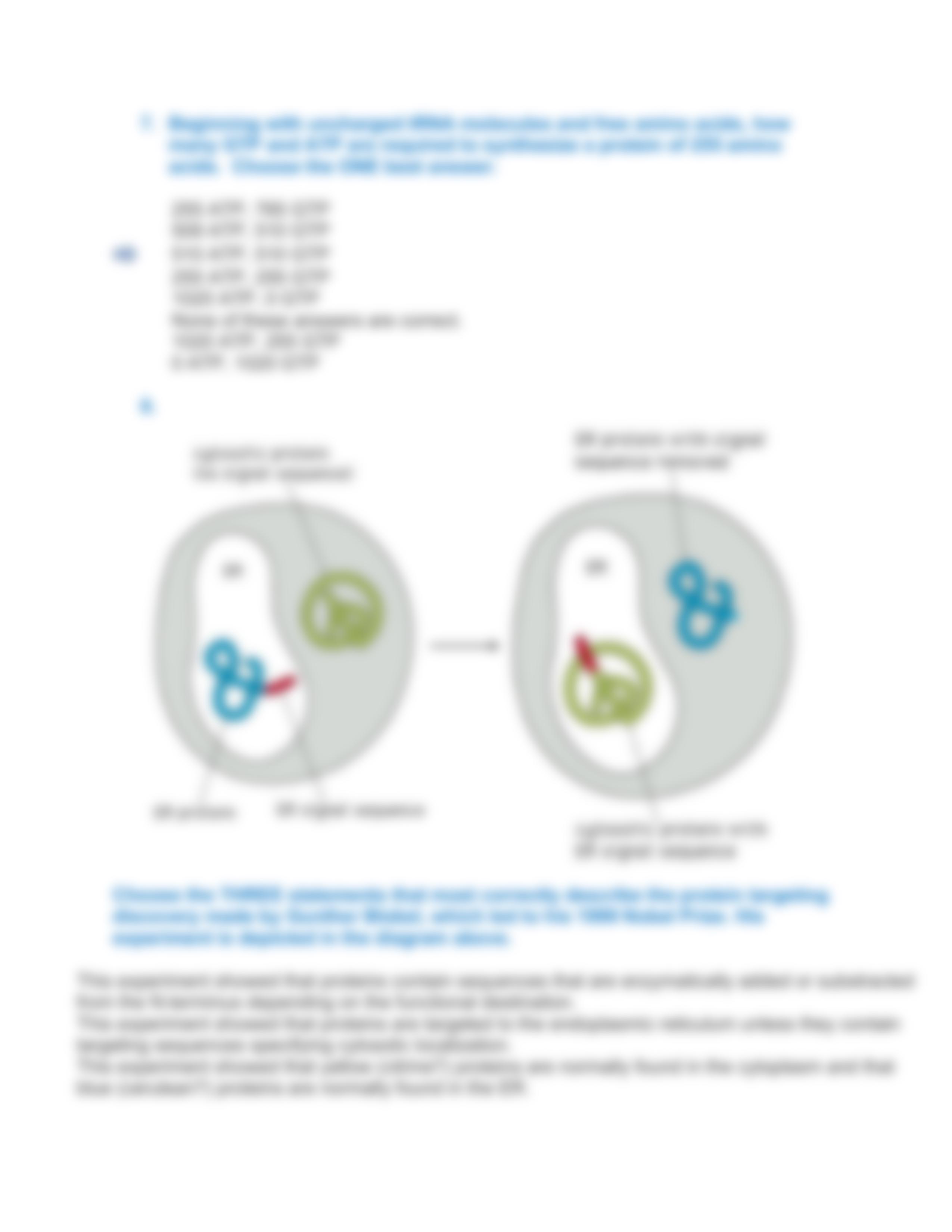 Bioc385_Sum2016_Homework2_KEY_dsgqky6v2c6_page4