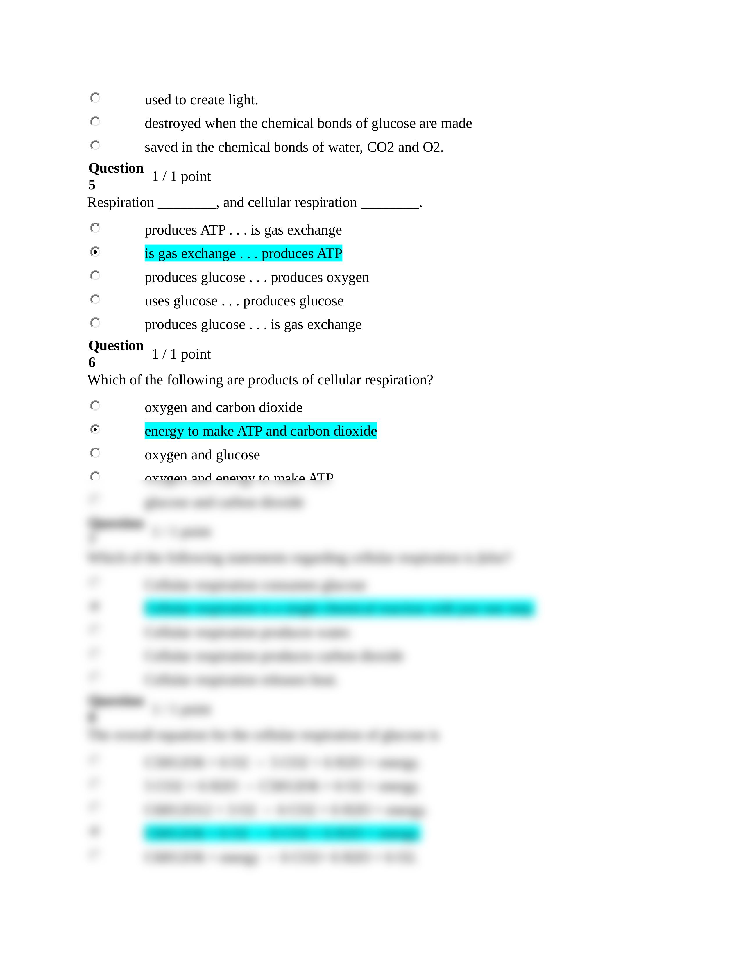 Quiz Submission1_dshig1r0syc_page2