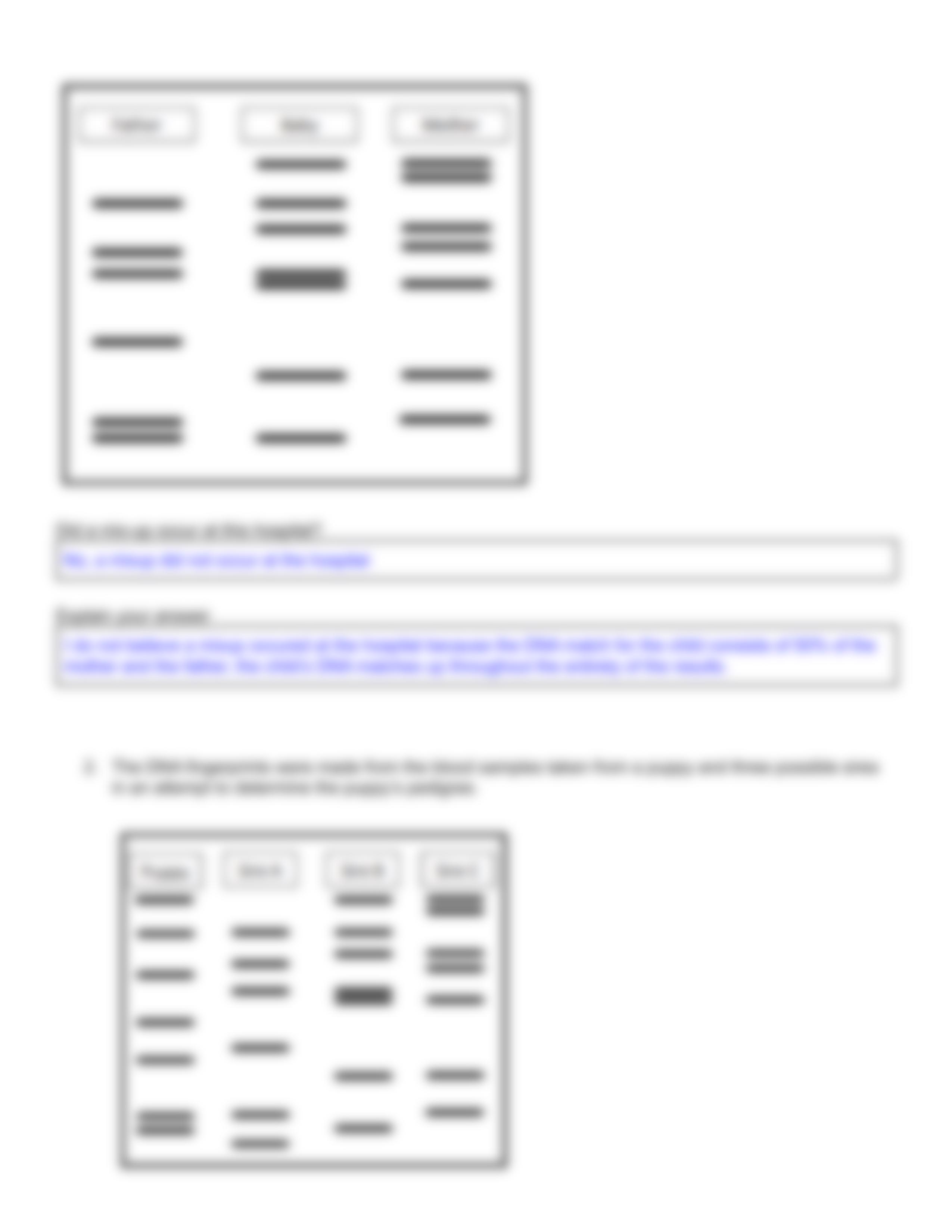 Copy of DNA Profiling Worksheet Packet.pdf_dsiekb7w1wy_page4