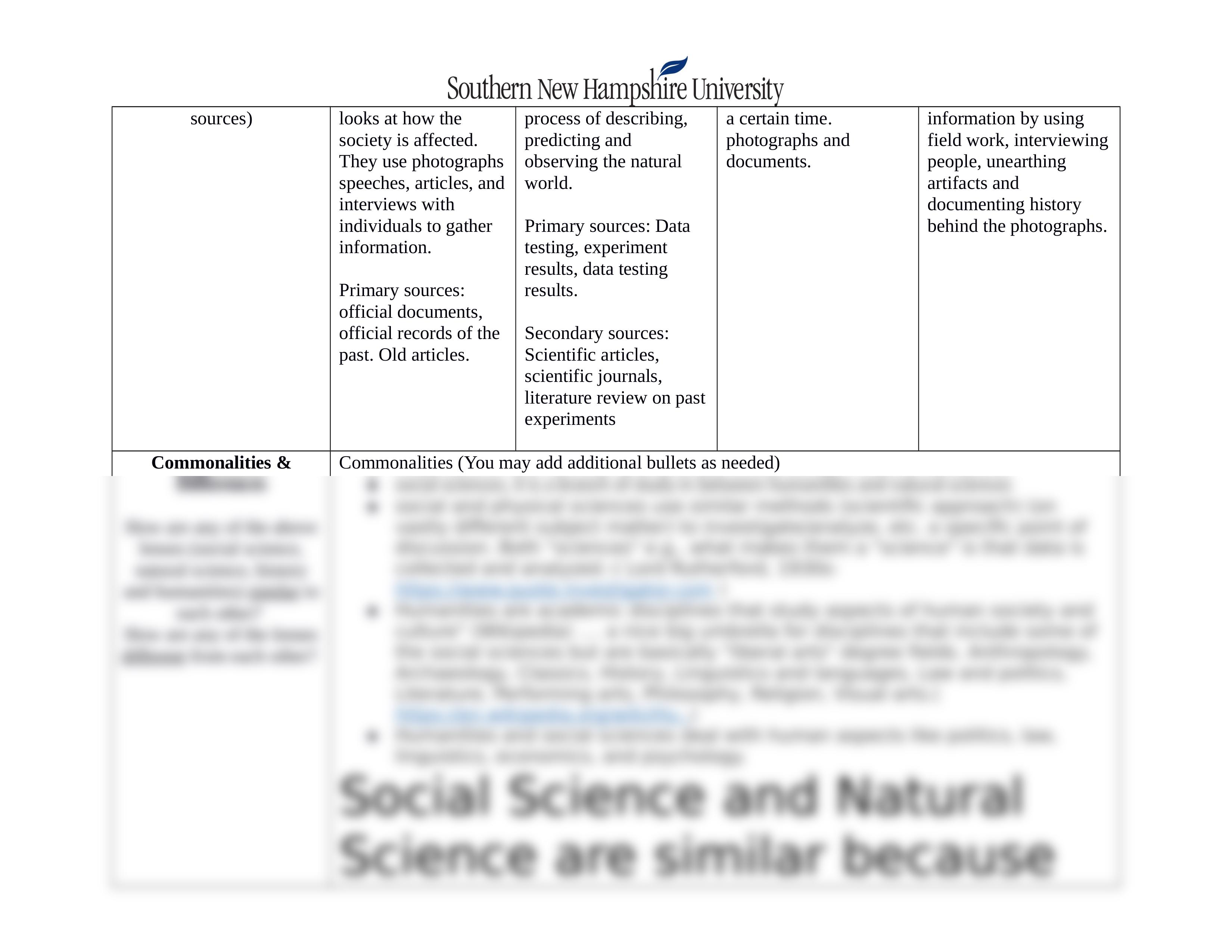 IDS 100 Lenses Chart Template (3).docx_dsirugv73to_page2