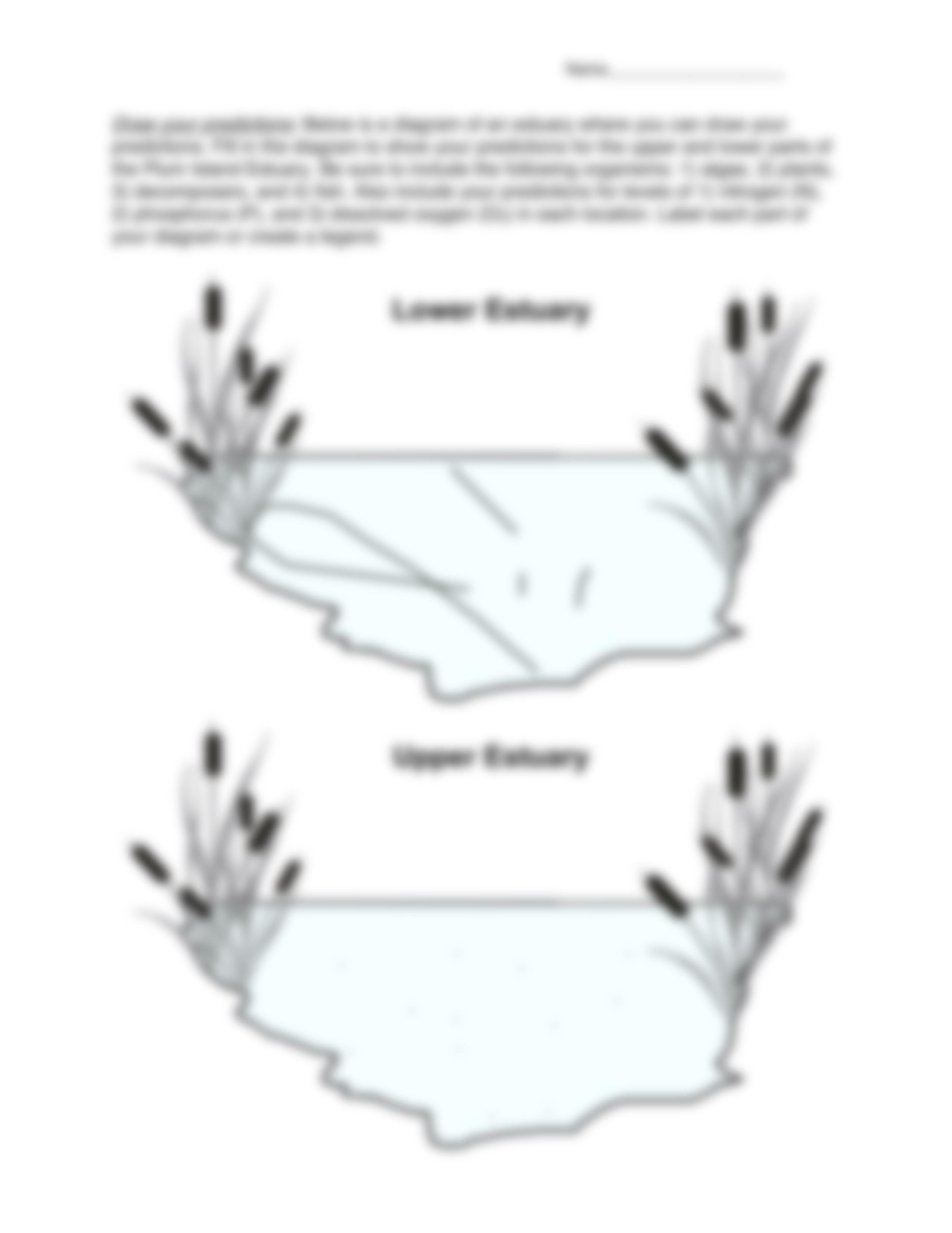 Gore Estuary Eutrophication.pdf_dskj5f14tos_page3