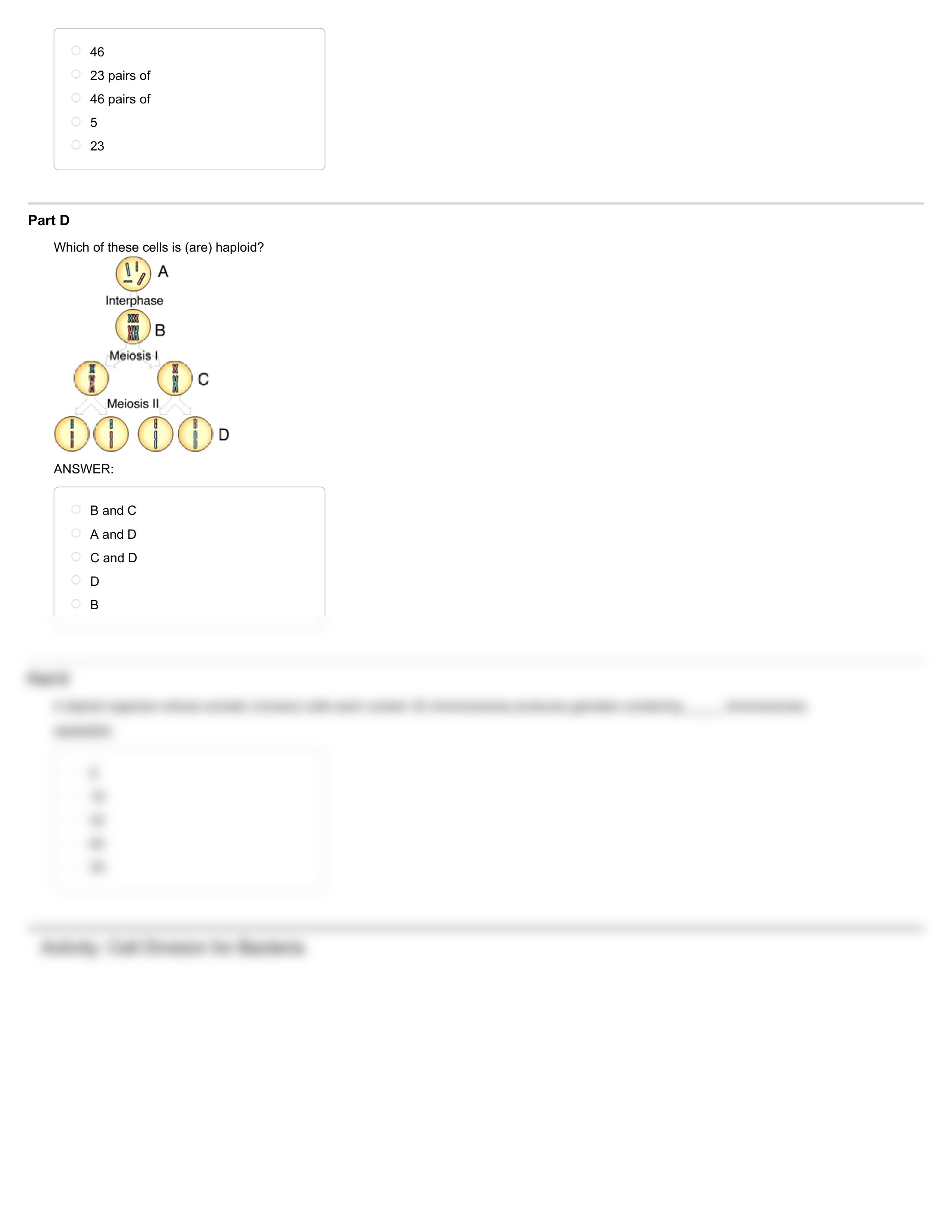 QUIZ_ Chapter 08_dskz7ik0ot0_page2