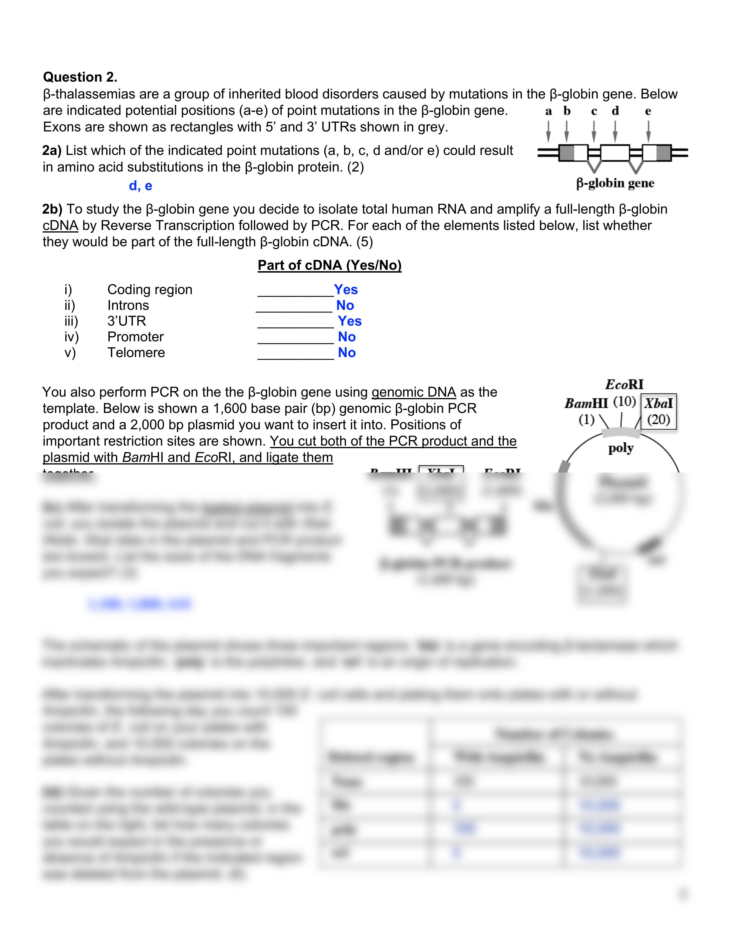 2020 Problem Set 3 KEY (L6-8).pdf_dsl3as11c6m_page2