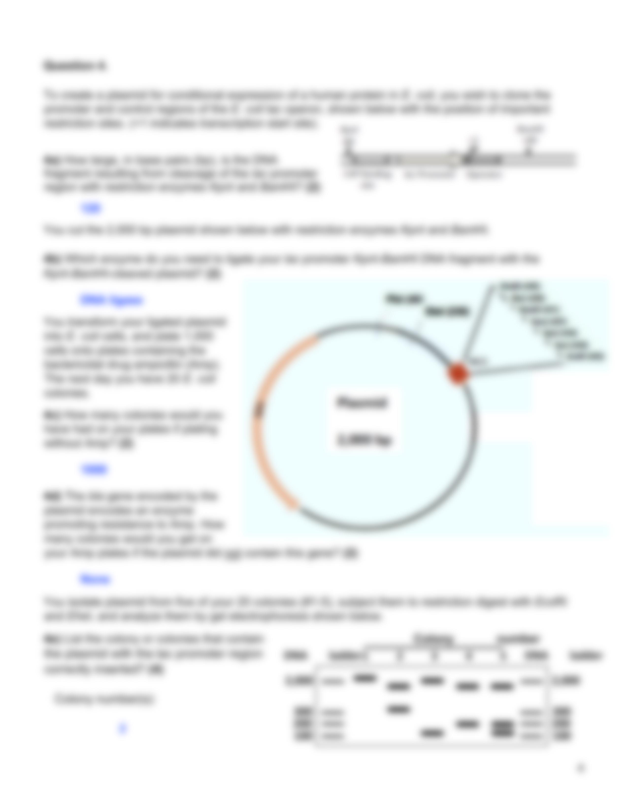 2020 Problem Set 3 KEY (L6-8).pdf_dsl3as11c6m_page4