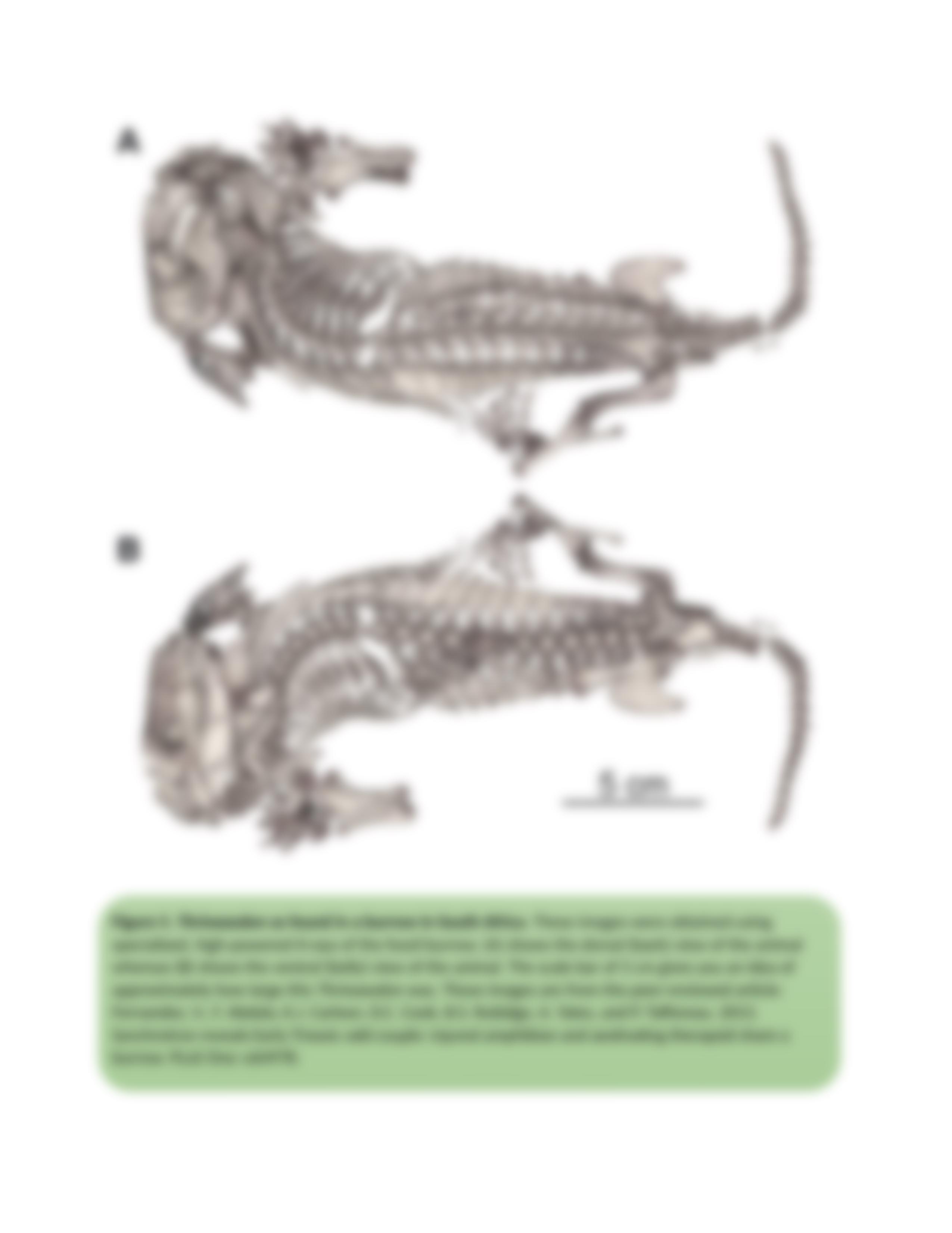 Evolutionary Relationship HW.docx_dsm3c2nu5v9_page5