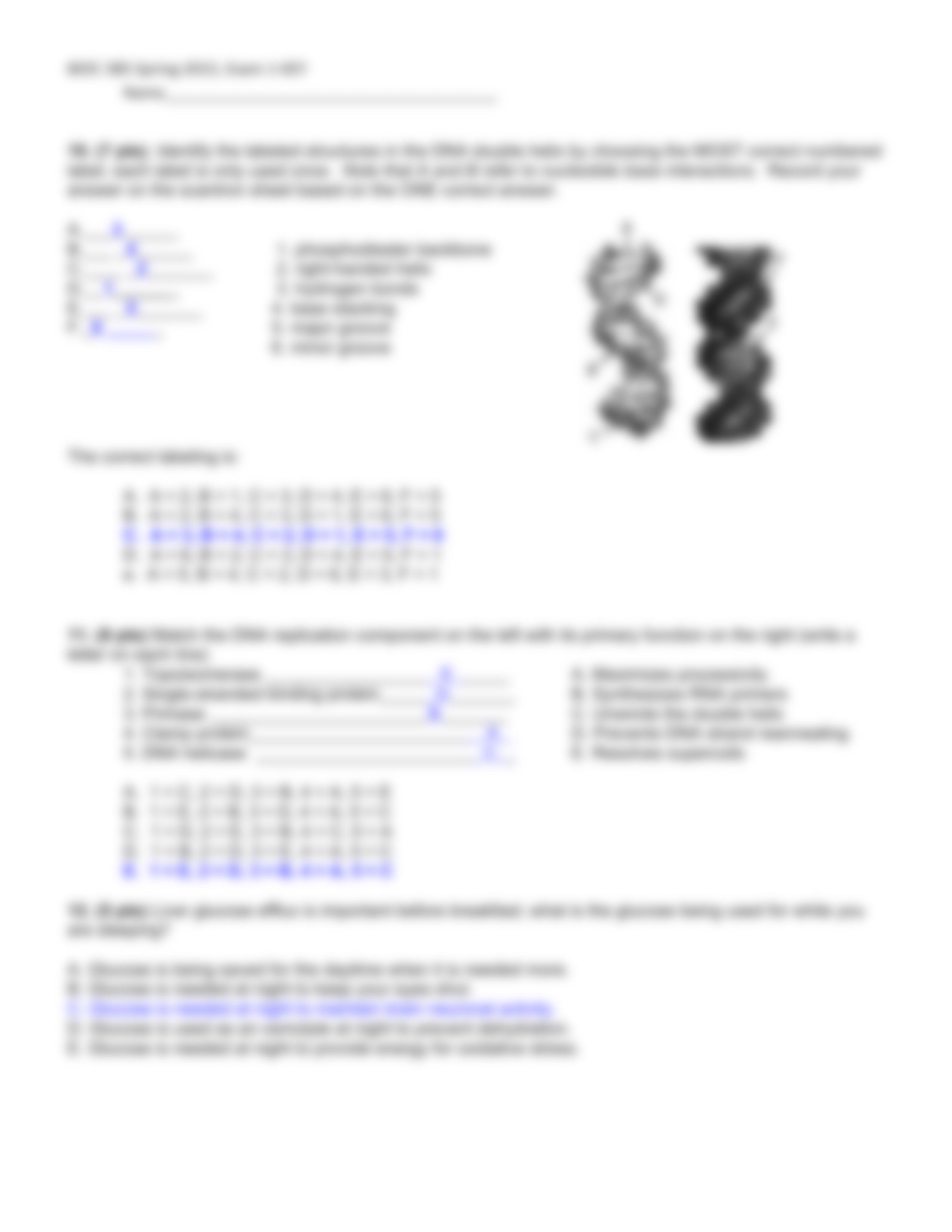 BIOCHEM 385 - EXAM 1 KEY_dsn28x5qgfp_page5