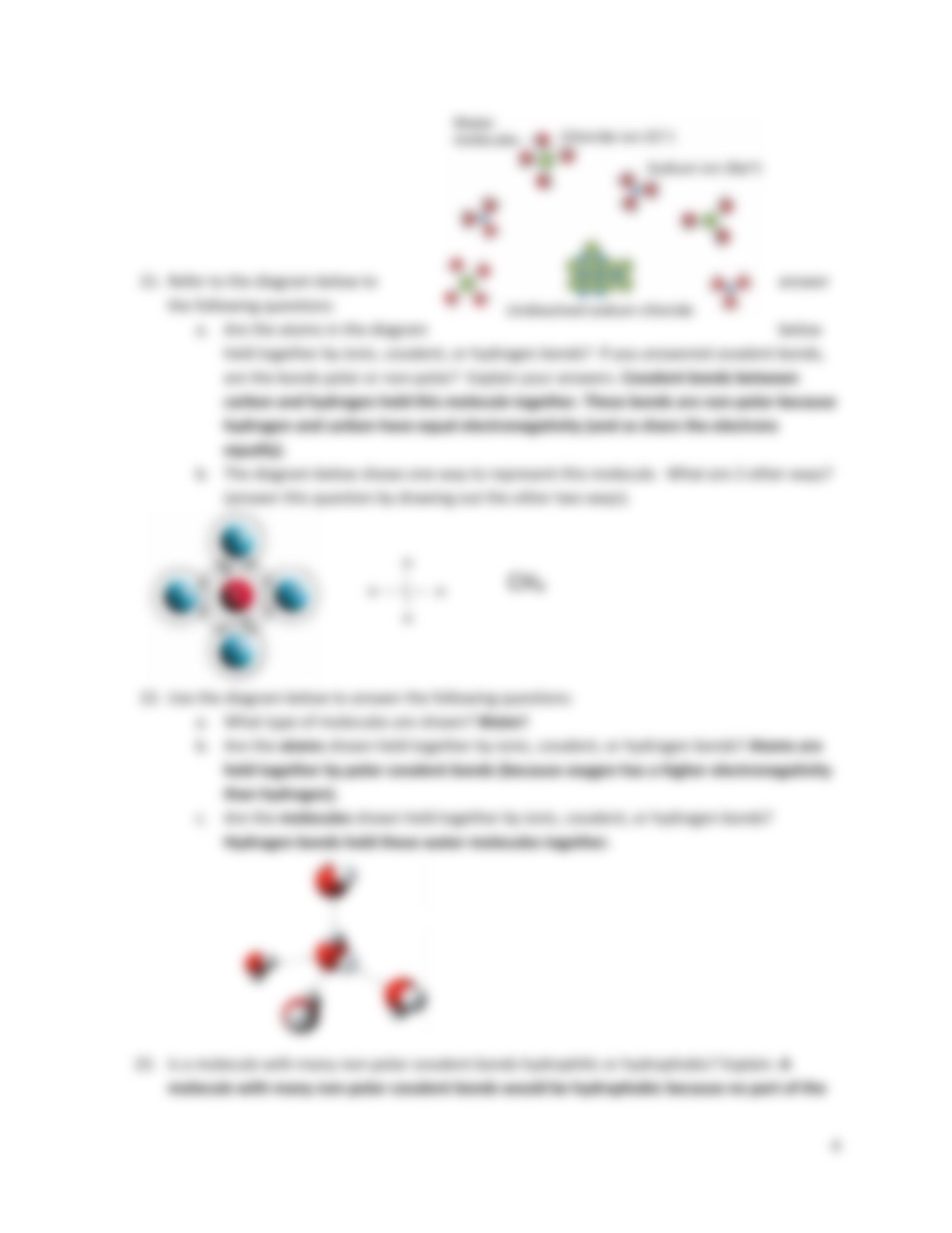 Exam 1 Study Questions KEY.pdf_dsr4flmc99v_page4