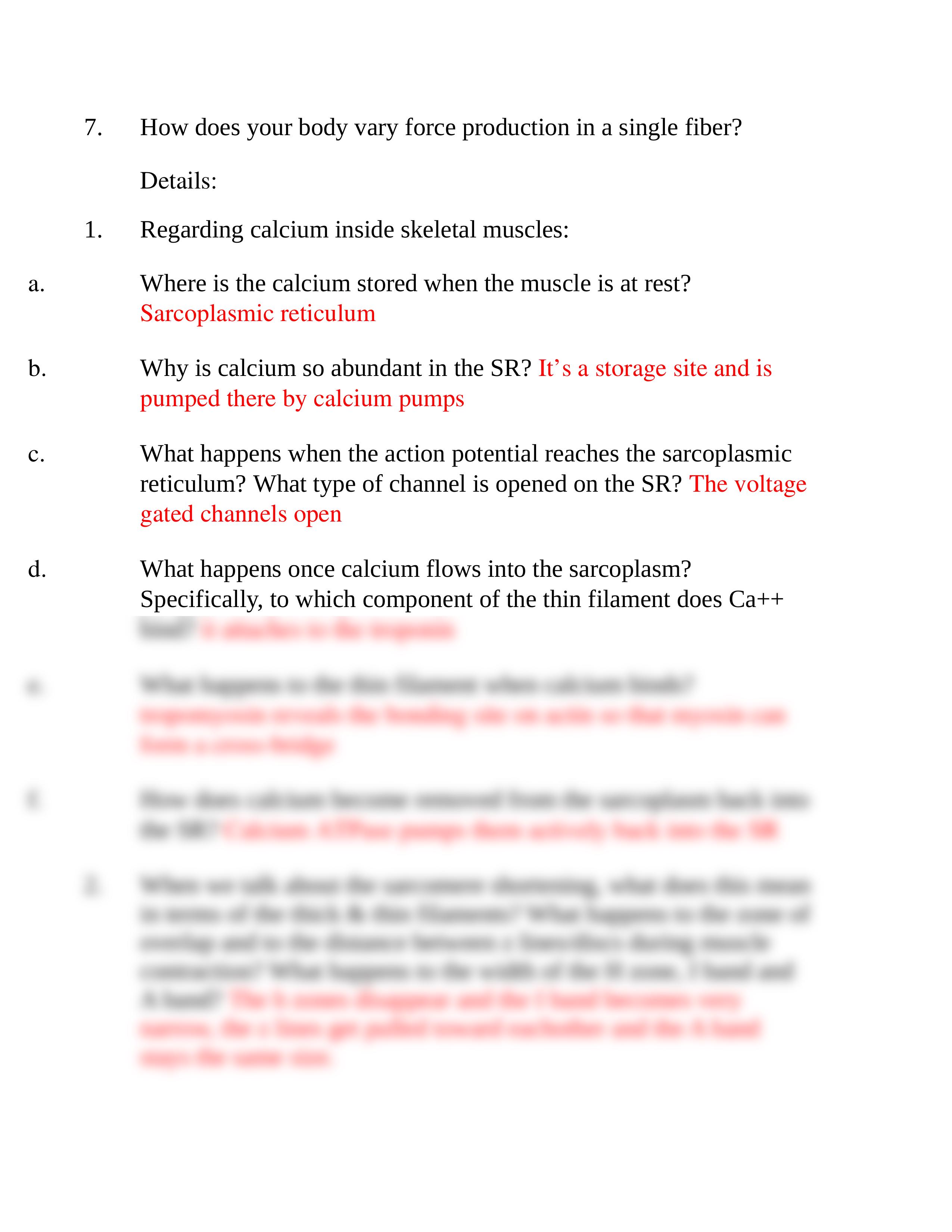 Study Questions 11_dt4uvbmfx0v_page2